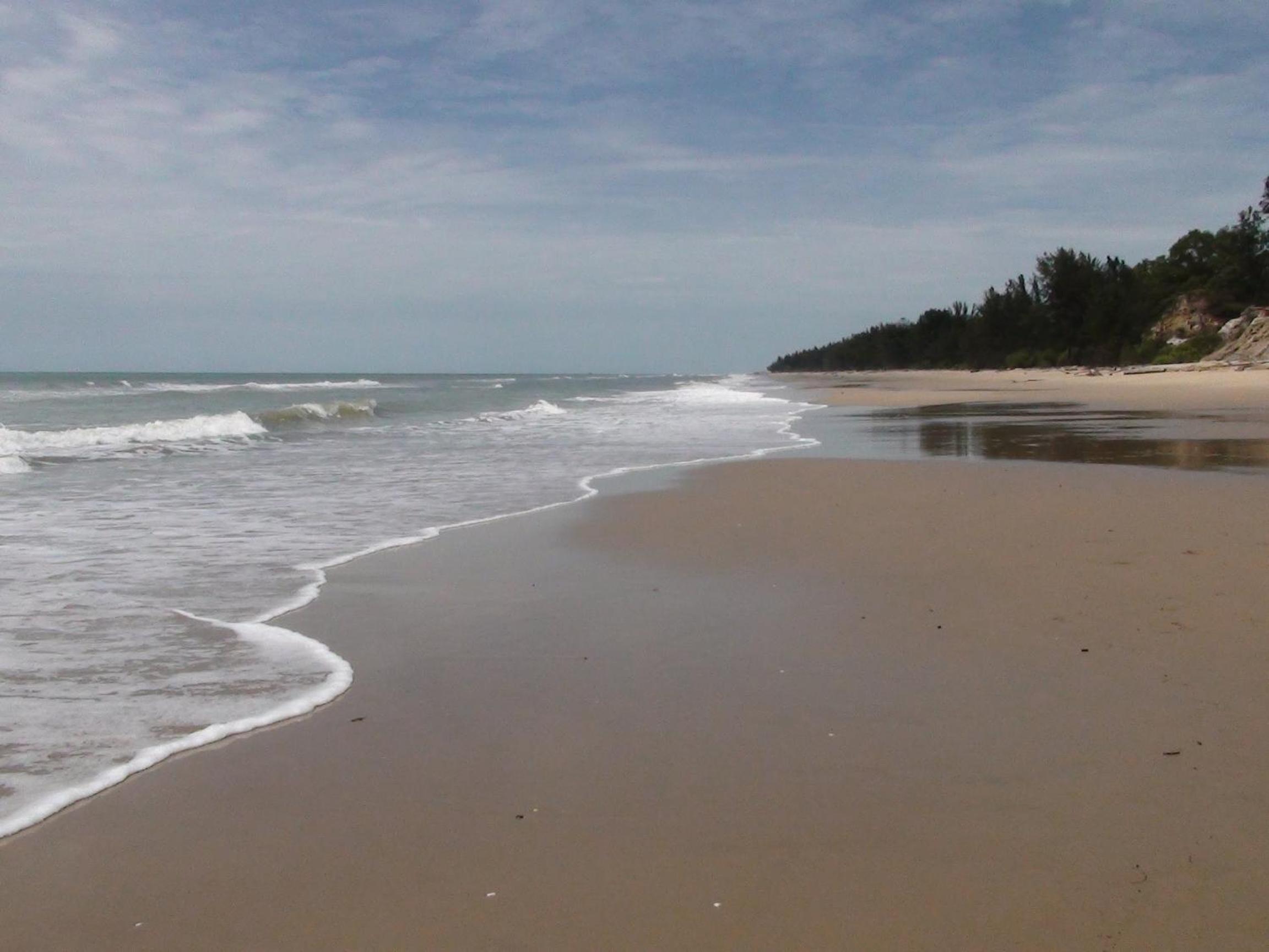 Photo 45