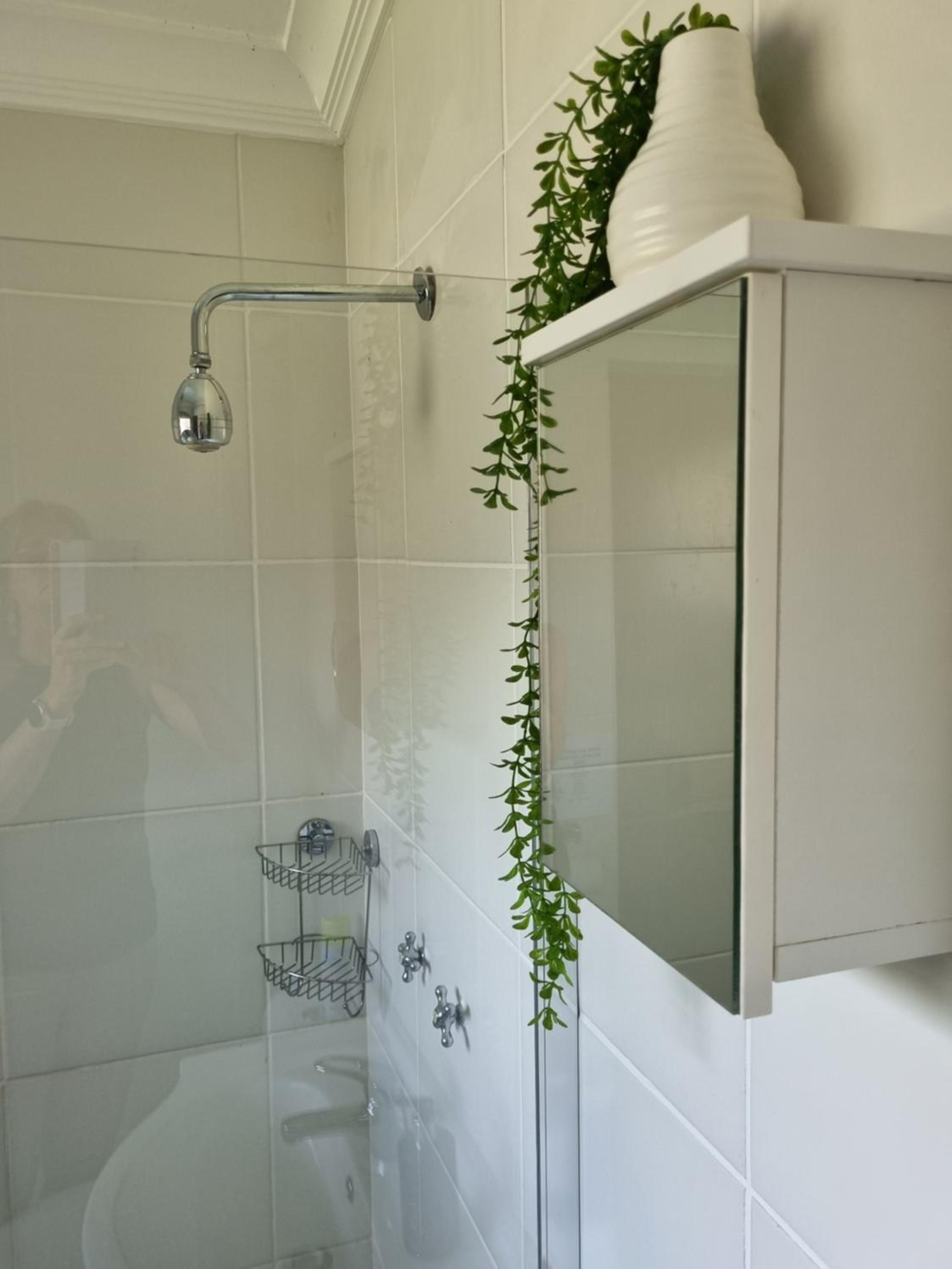 Gorgeous Gecko Guesthouse