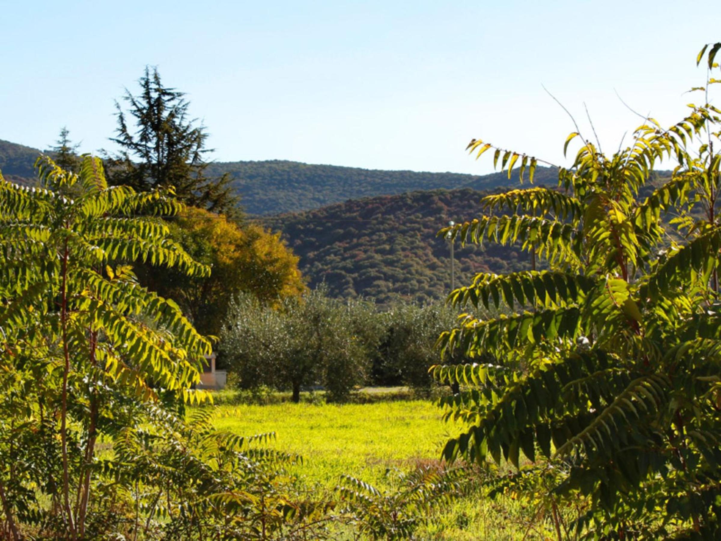 Casa Andrea view 4