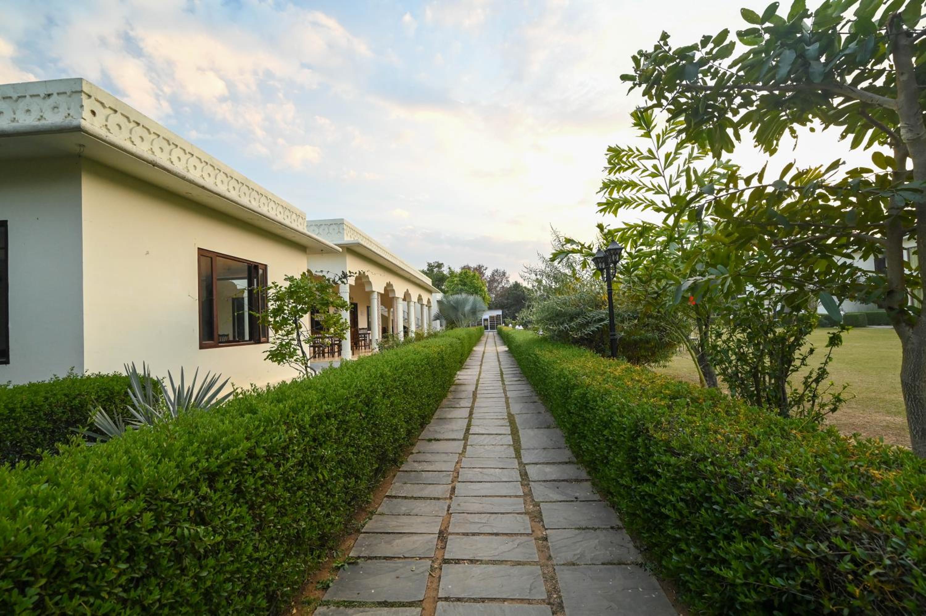 Ginger Ranthambore,Sawai Madhopur view 3
