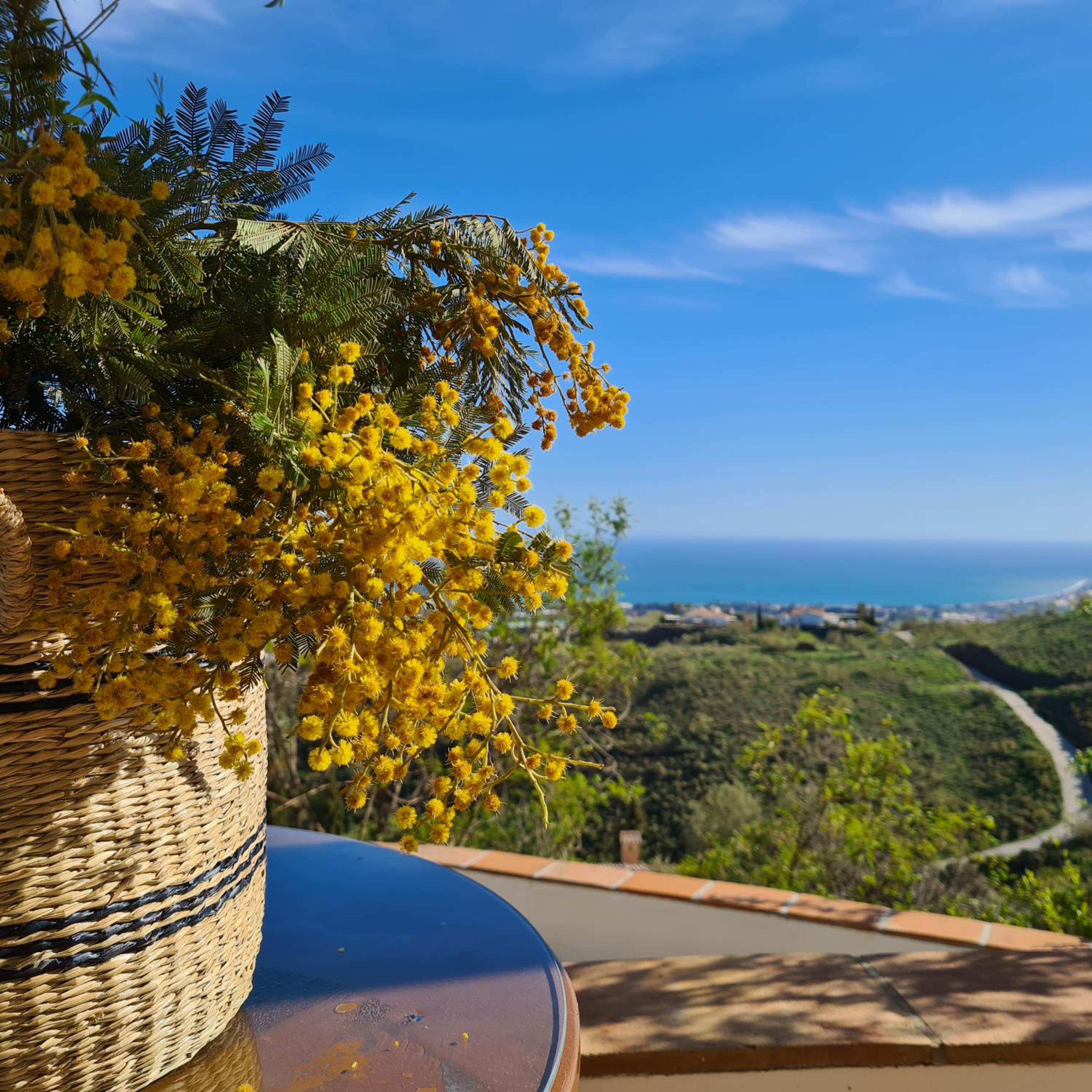 Casa Antonia - Villa entière avec piscine - Vue mer et montagne - Algarrobo - Costa del Sol