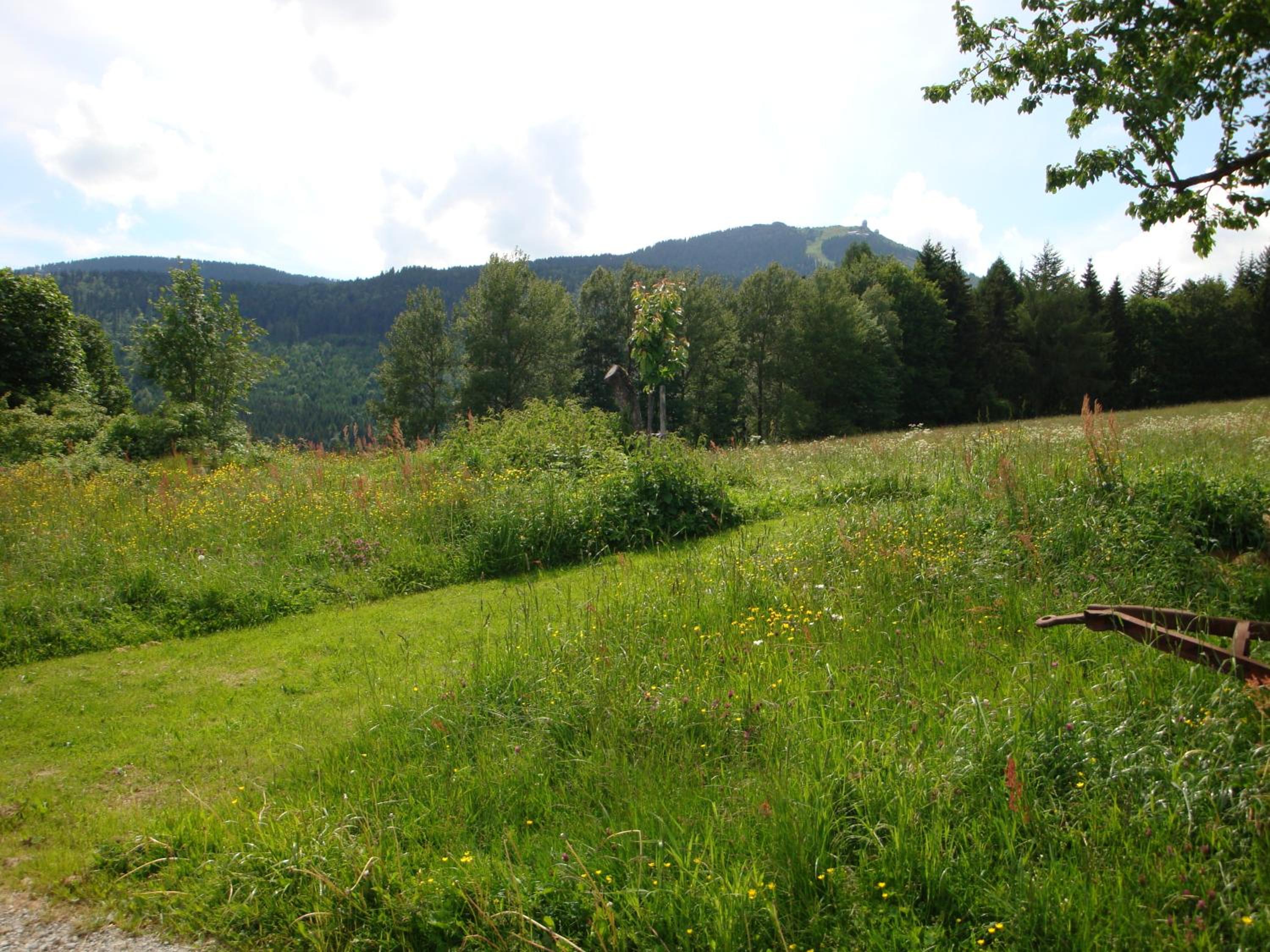 Photo 46