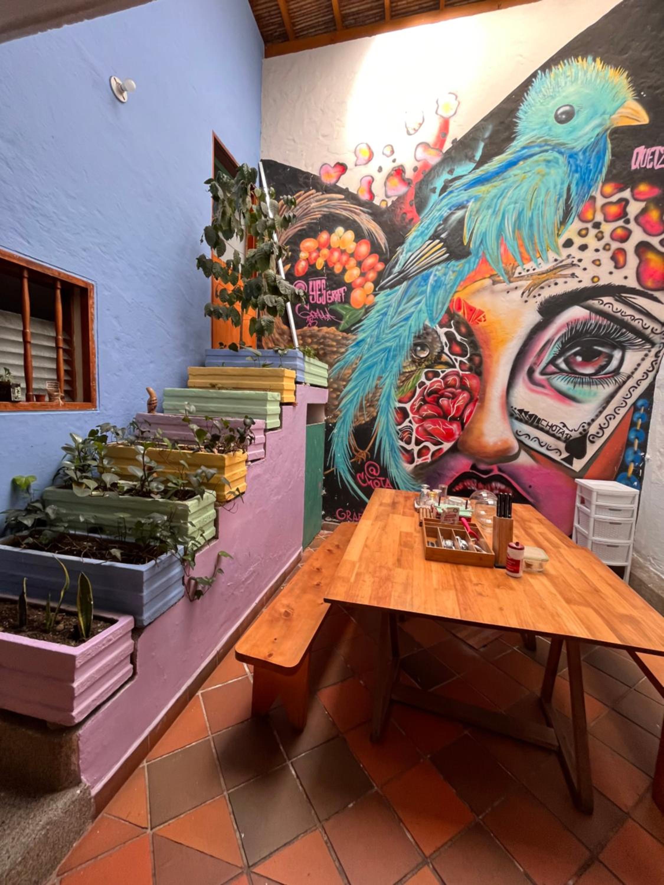 Yolo Hostel Medellin