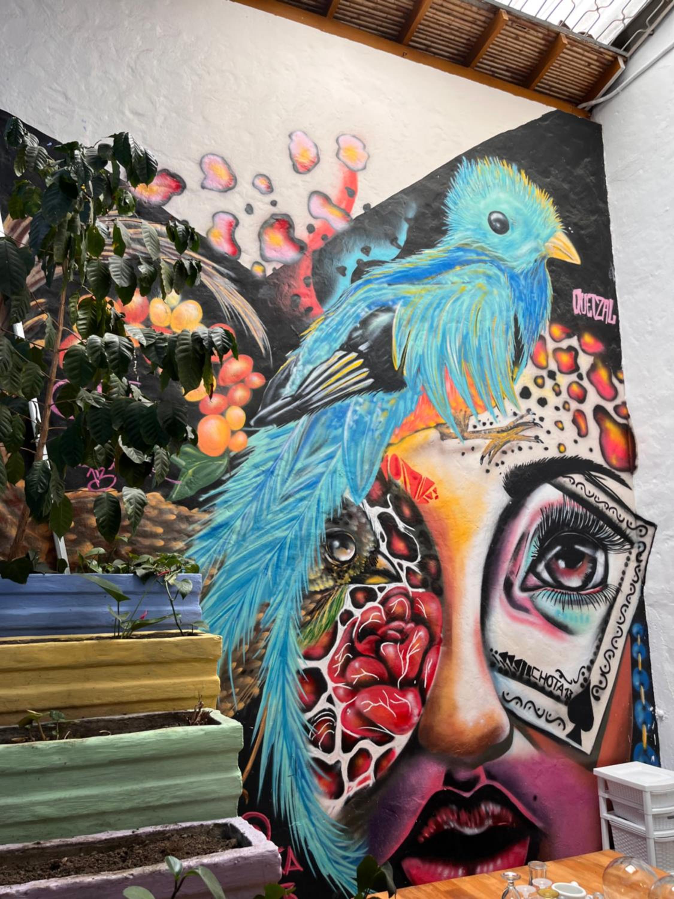 Yolo Hostel Medellin