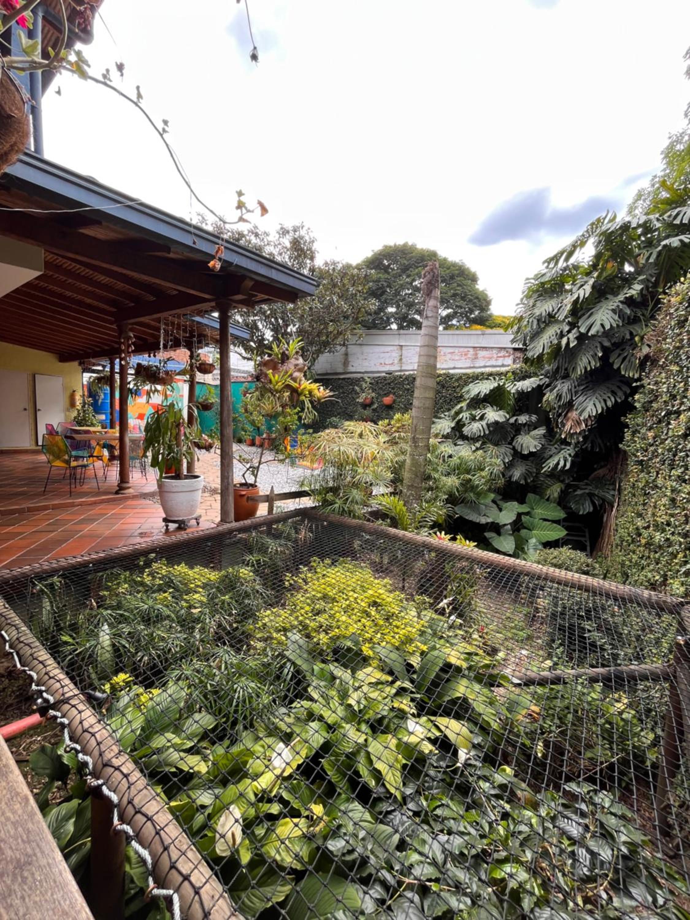 Yolo Hostel Medellin
