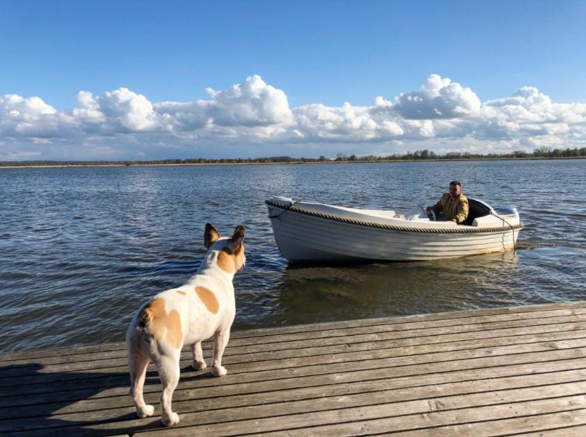 Herbals - Tree&Lake houses with bath, sauna - price includes attractions worth over 2000 PLN