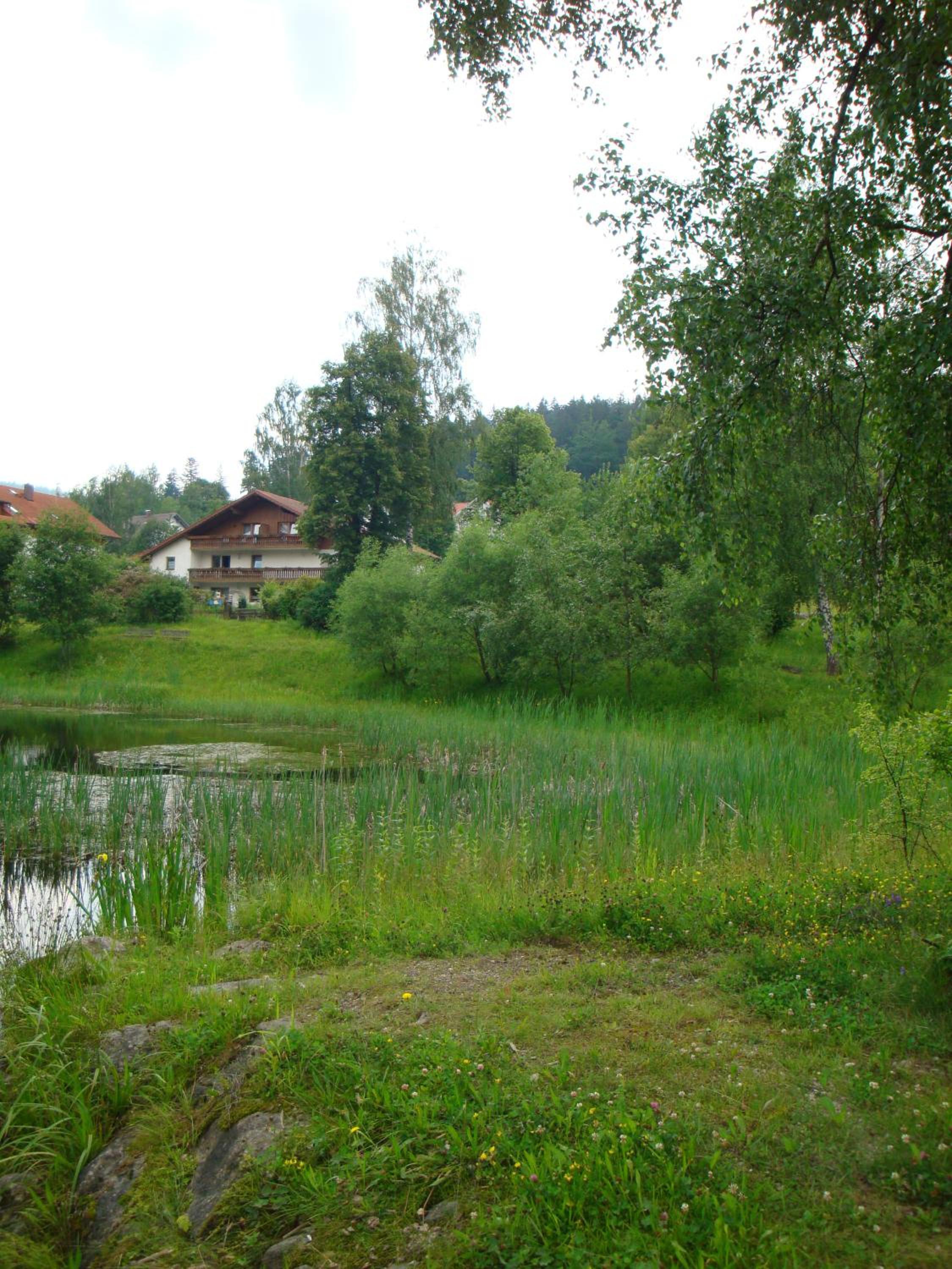 Photo 48