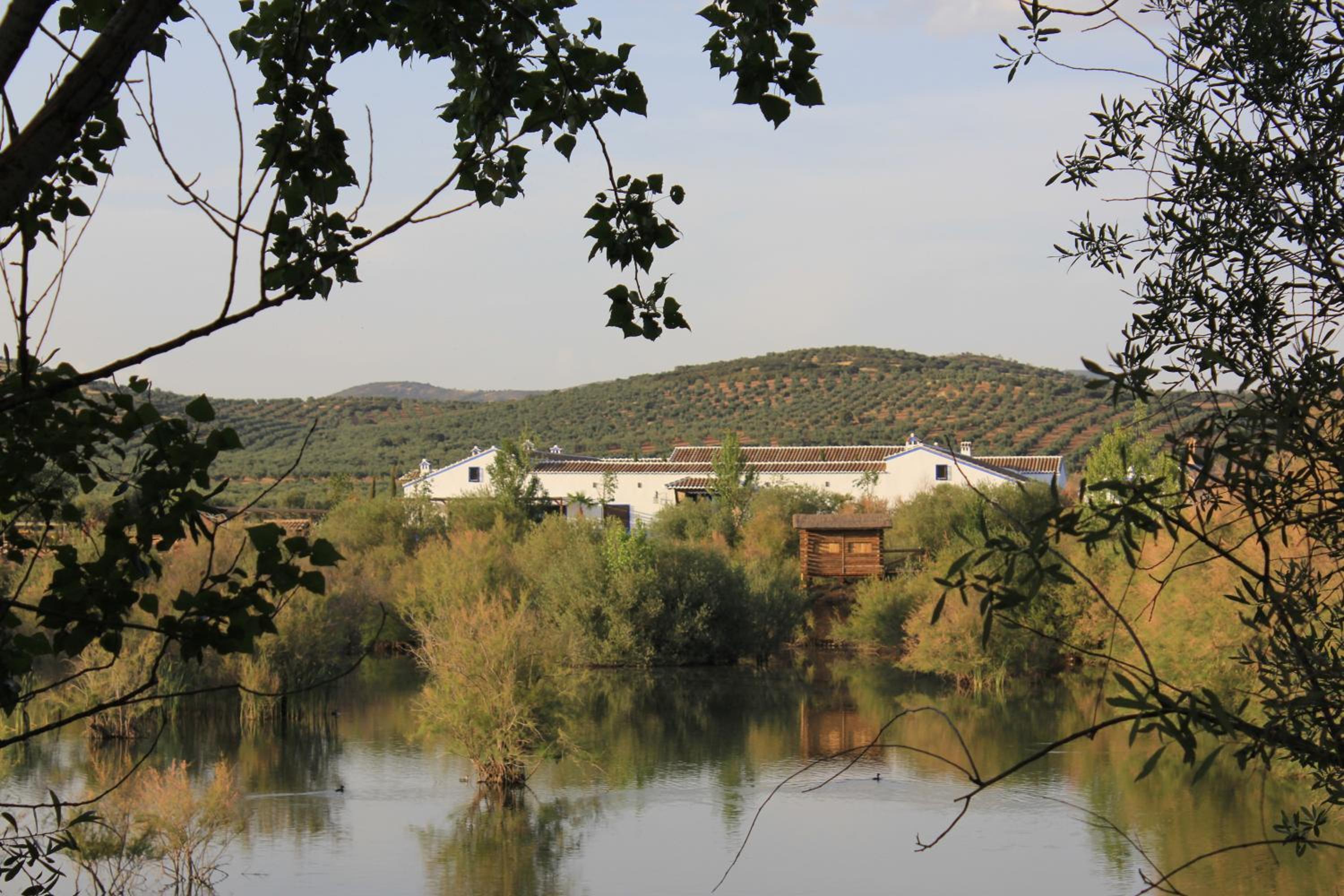 Complejo Turístico Rural Fuente Taray
