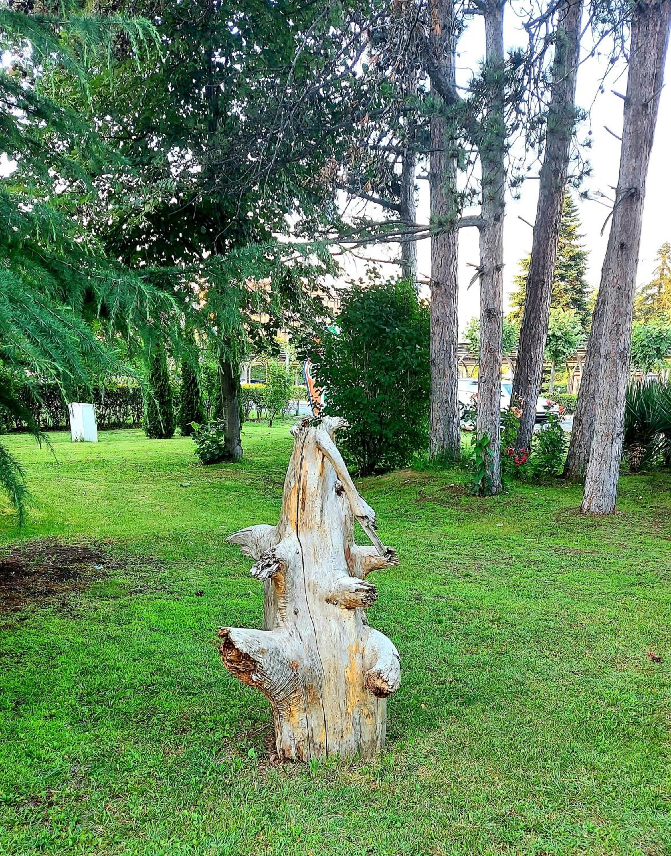 Aphrodite Park