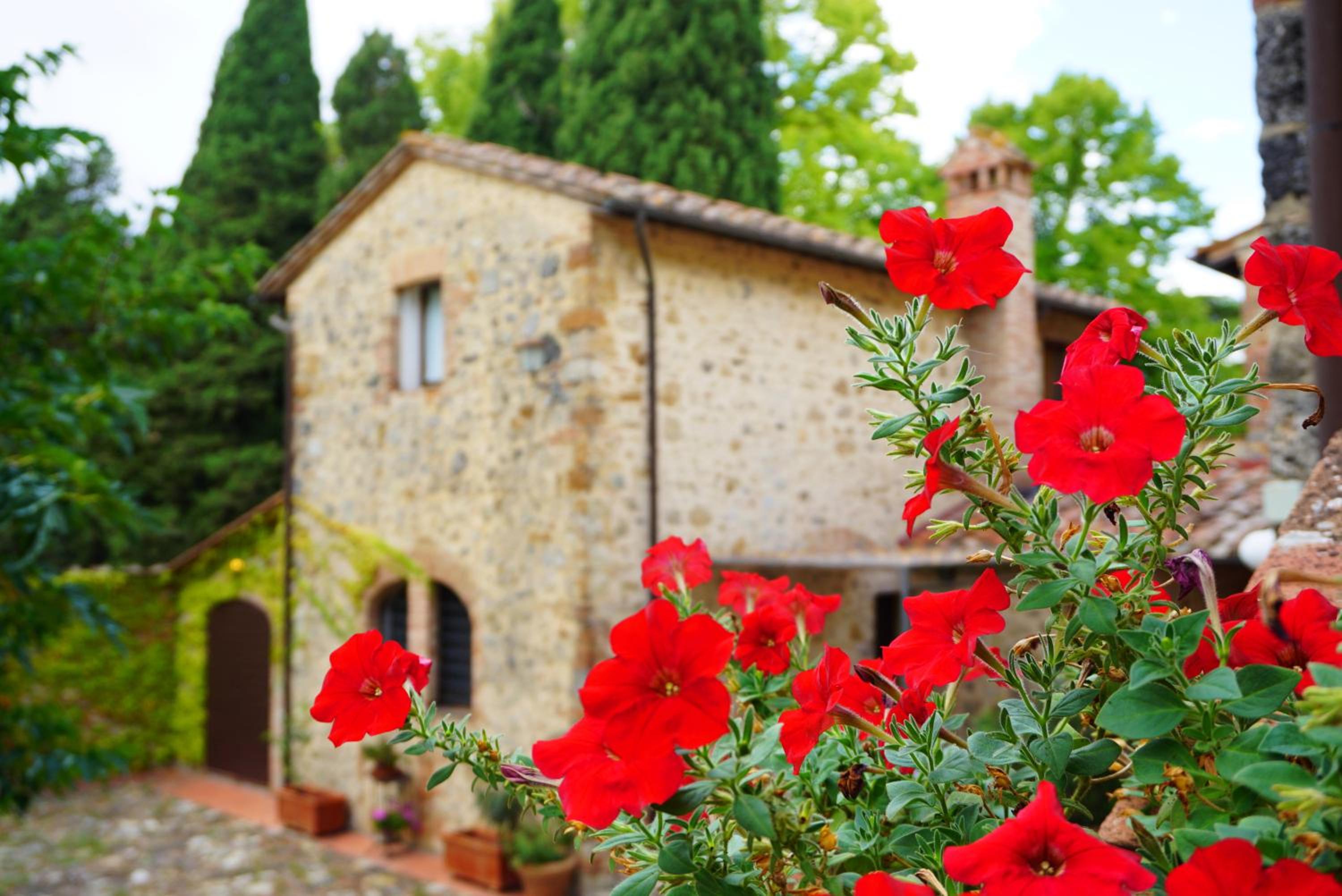 Fattoria Lornano Winery
