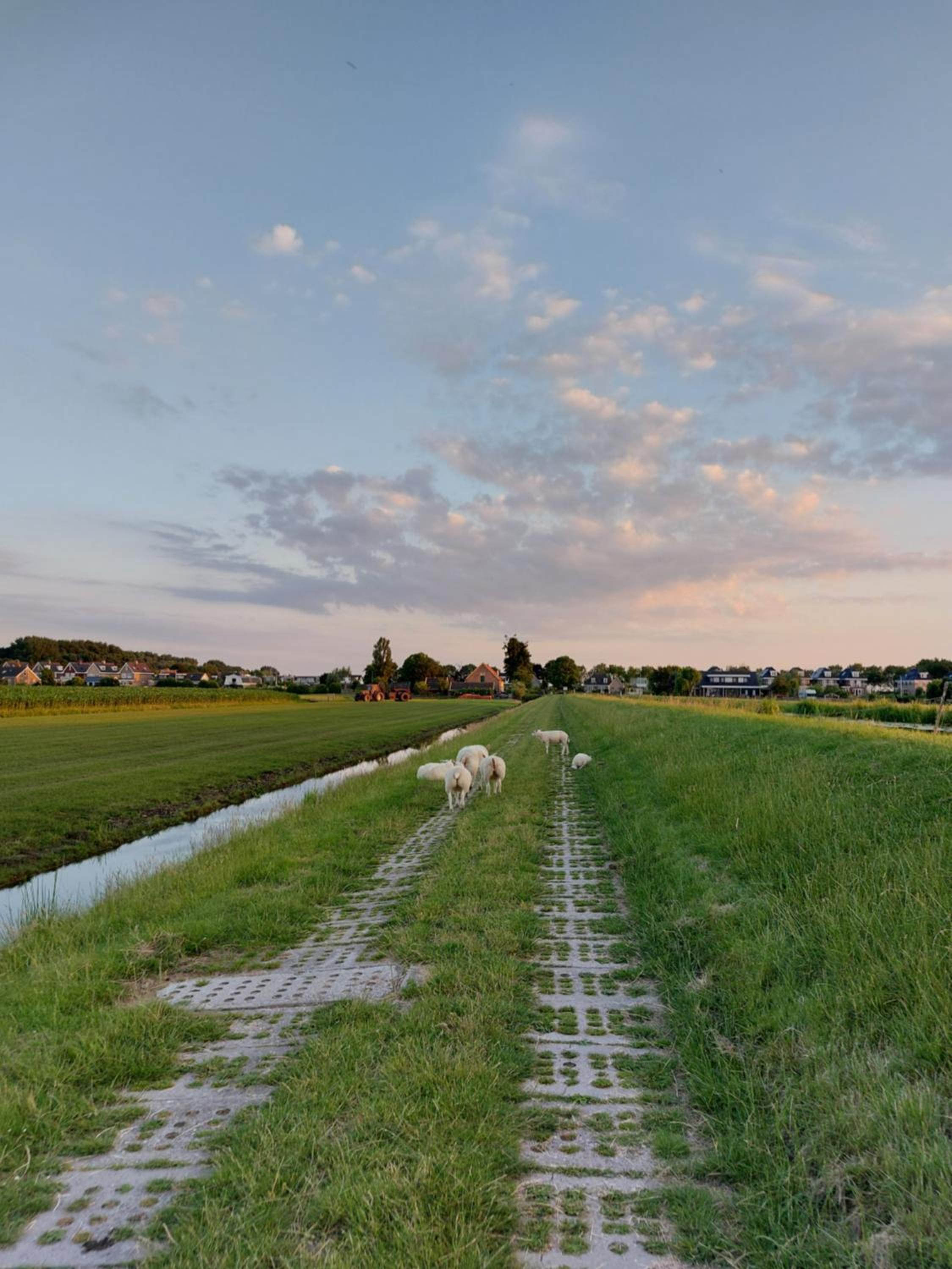 Lodges near the Rhine - Sustainable Residence, photo 88