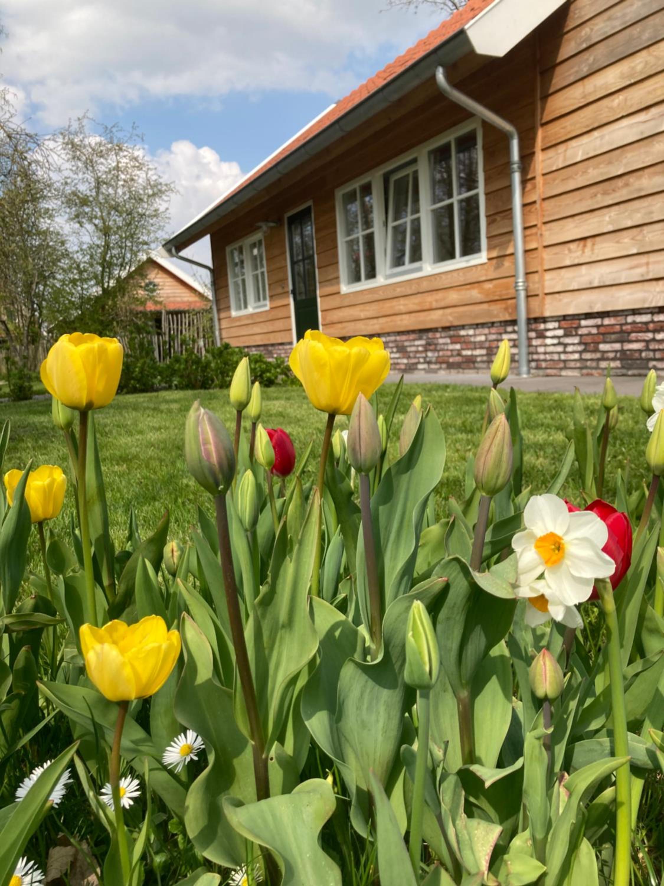 Lodges near the Rhine - Sustainable Residence, photo 75
