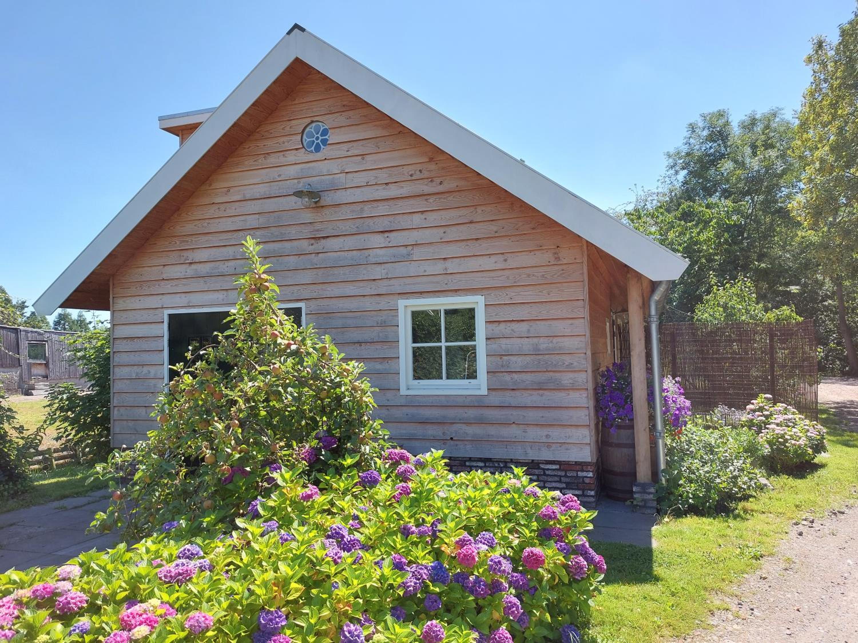 Lodges near the Rhine - Sustainable Residence, photo 81