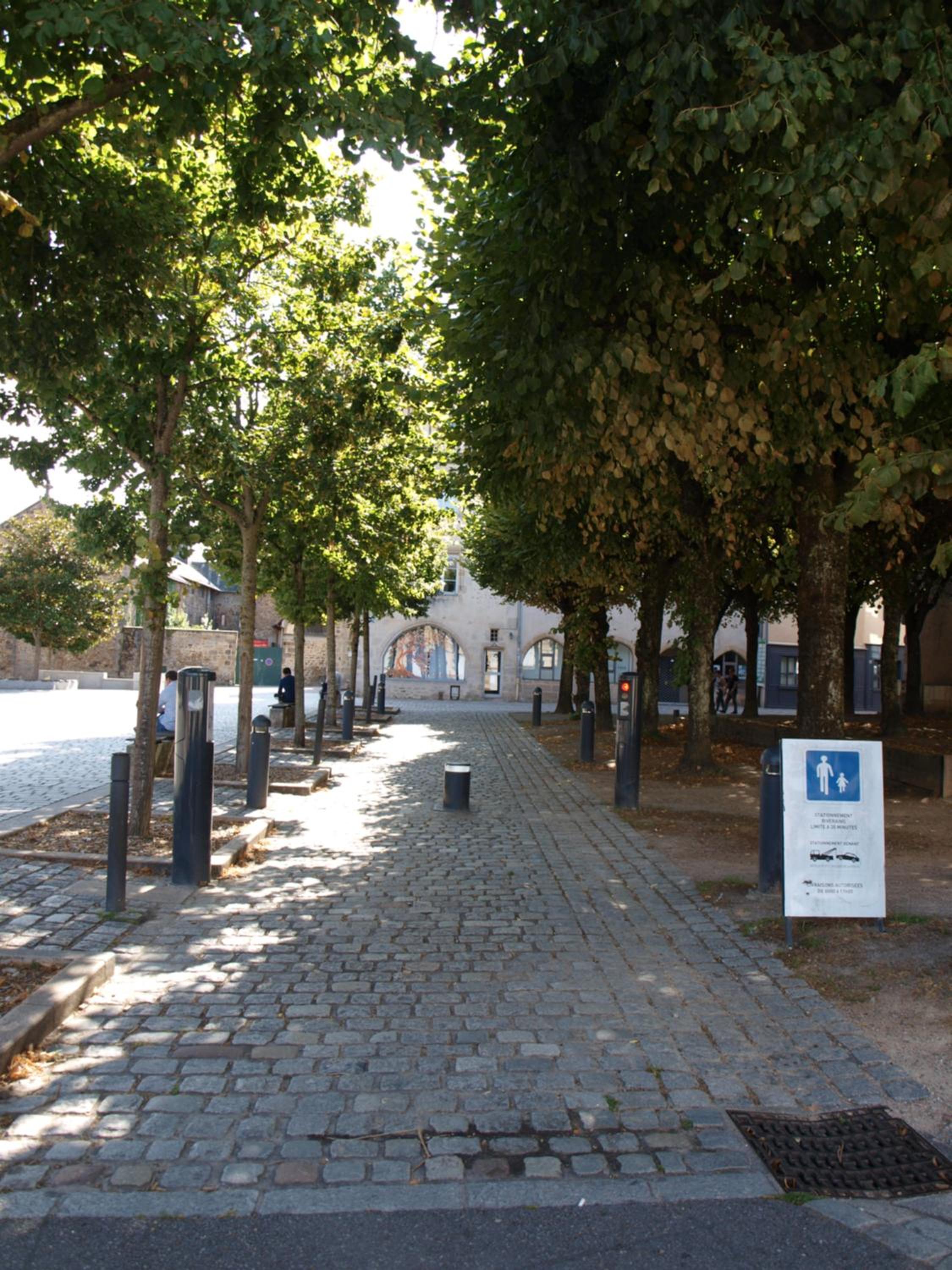 Photo 19