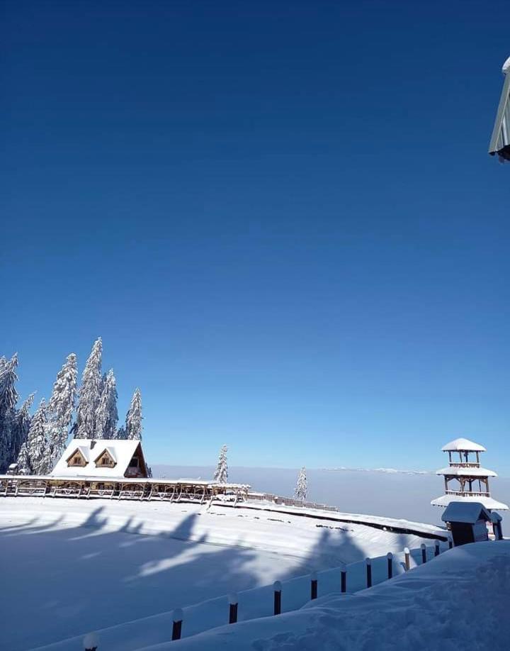 Apartman Maksim Ravna Planina