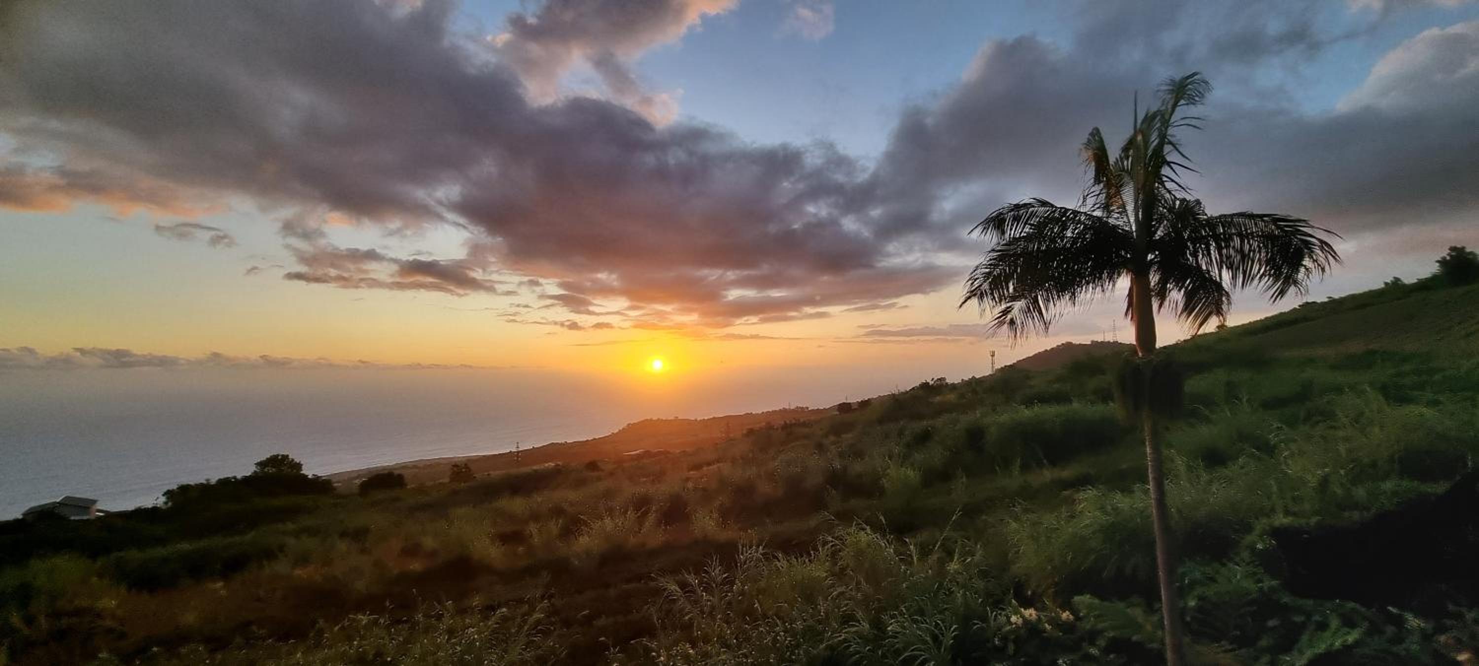 Case Tortue - chambres chez l'habitant - 3 étoiles