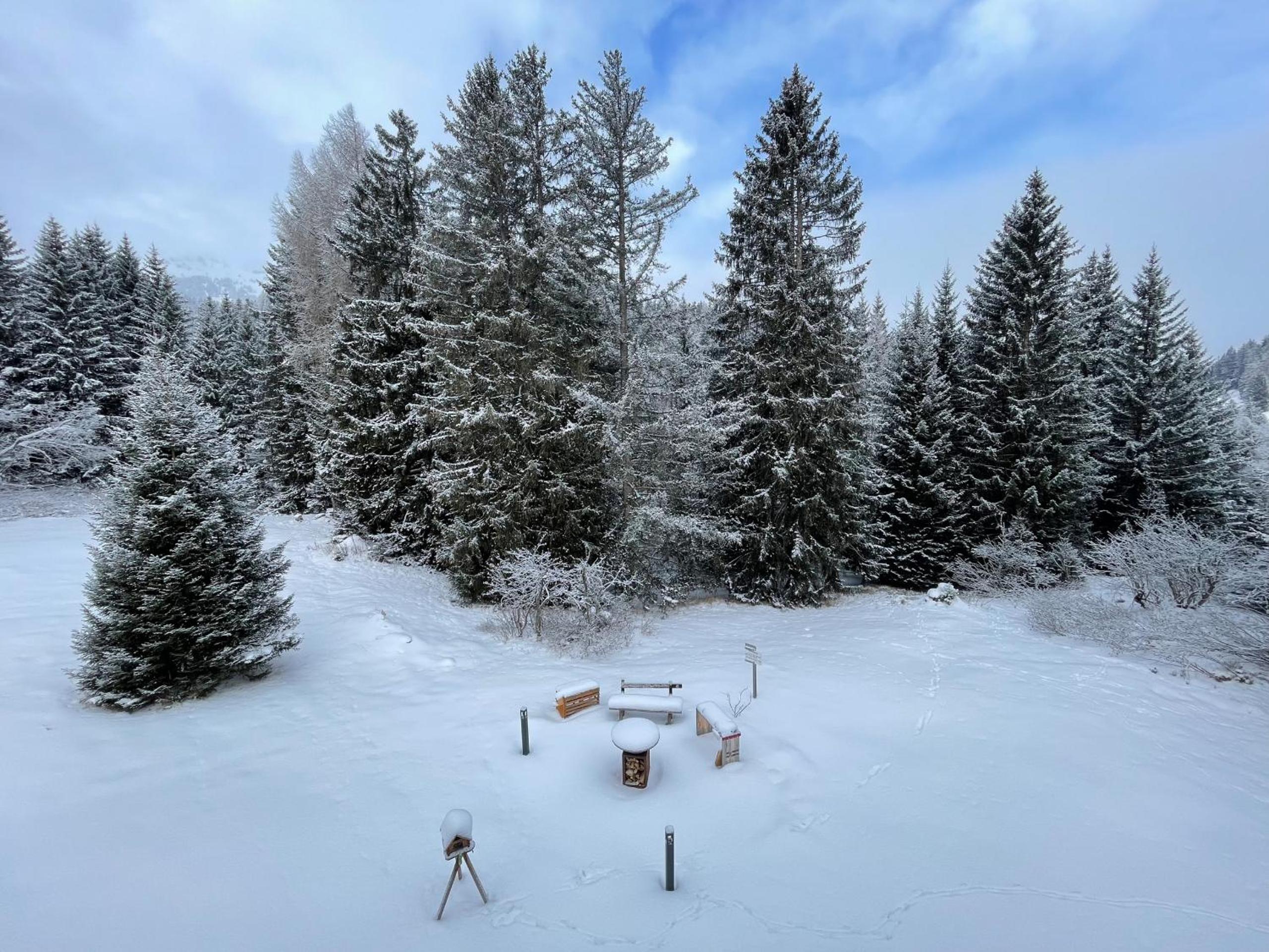 Ski-in Ski-out Chalet Crestas for 16 persons- Lenzerheide