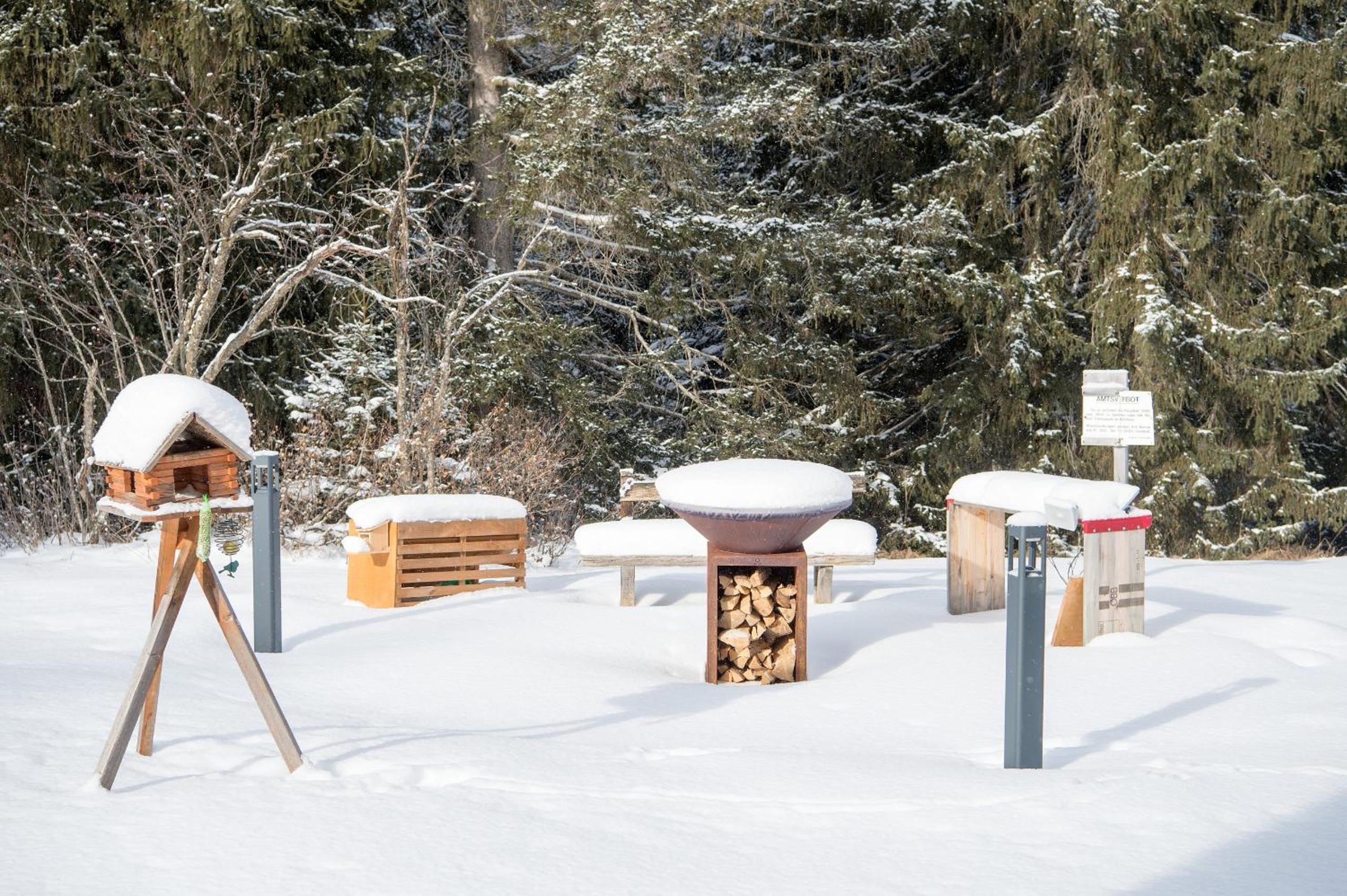 Ski-in Ski-out Chalet Crestas for 16 persons- Lenzerheide