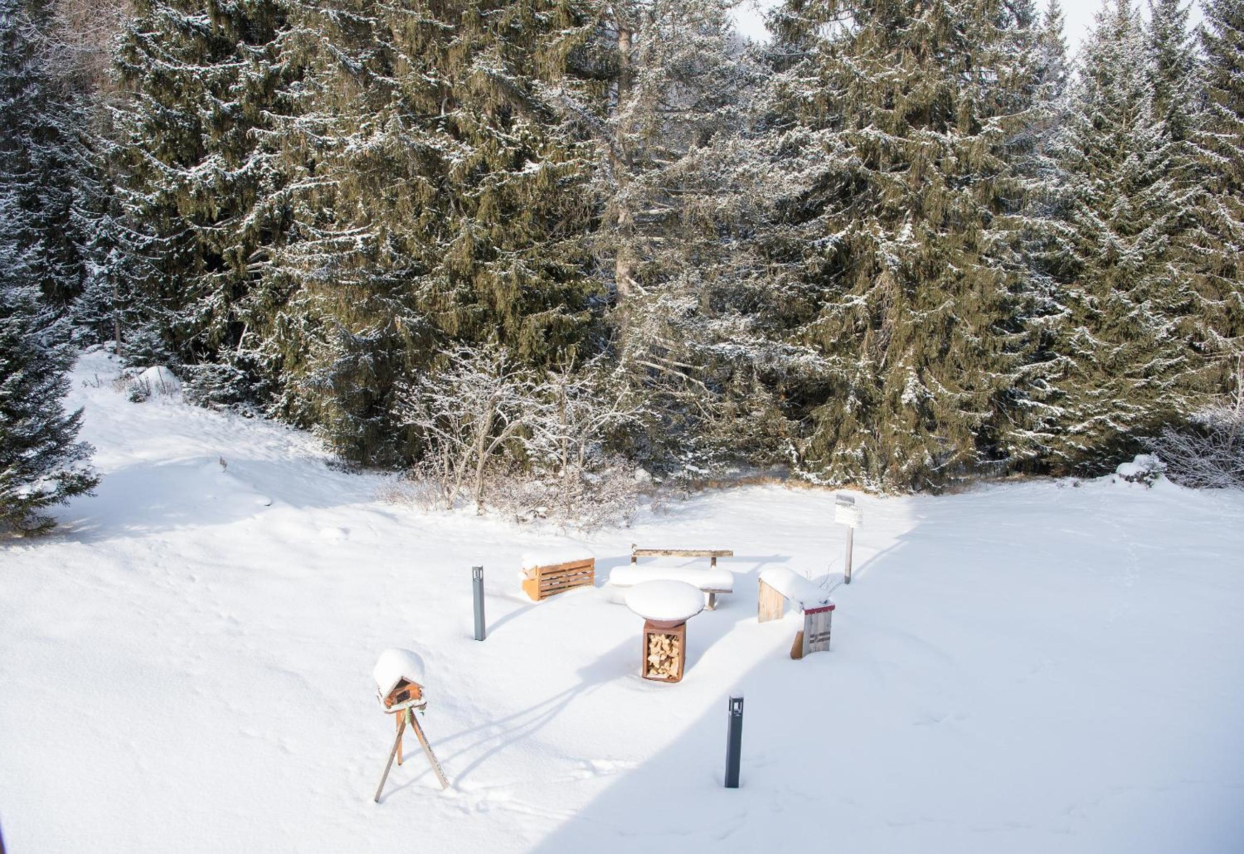 Ski-in Ski-out Chalet Crestas for 16 persons- Lenzerheide