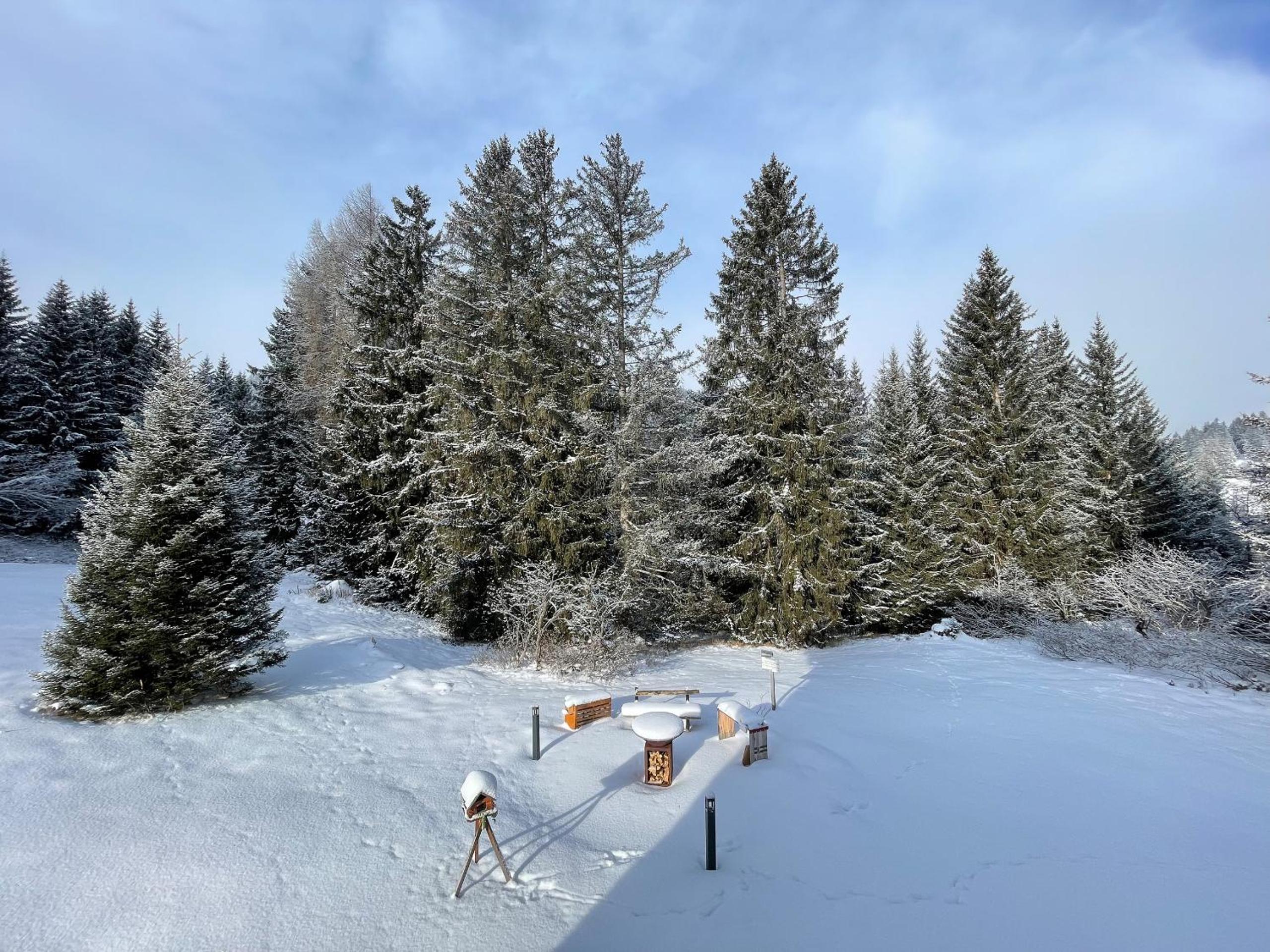 Ski-in Ski-out Chalet Crestas for 16 persons- Lenzerheide