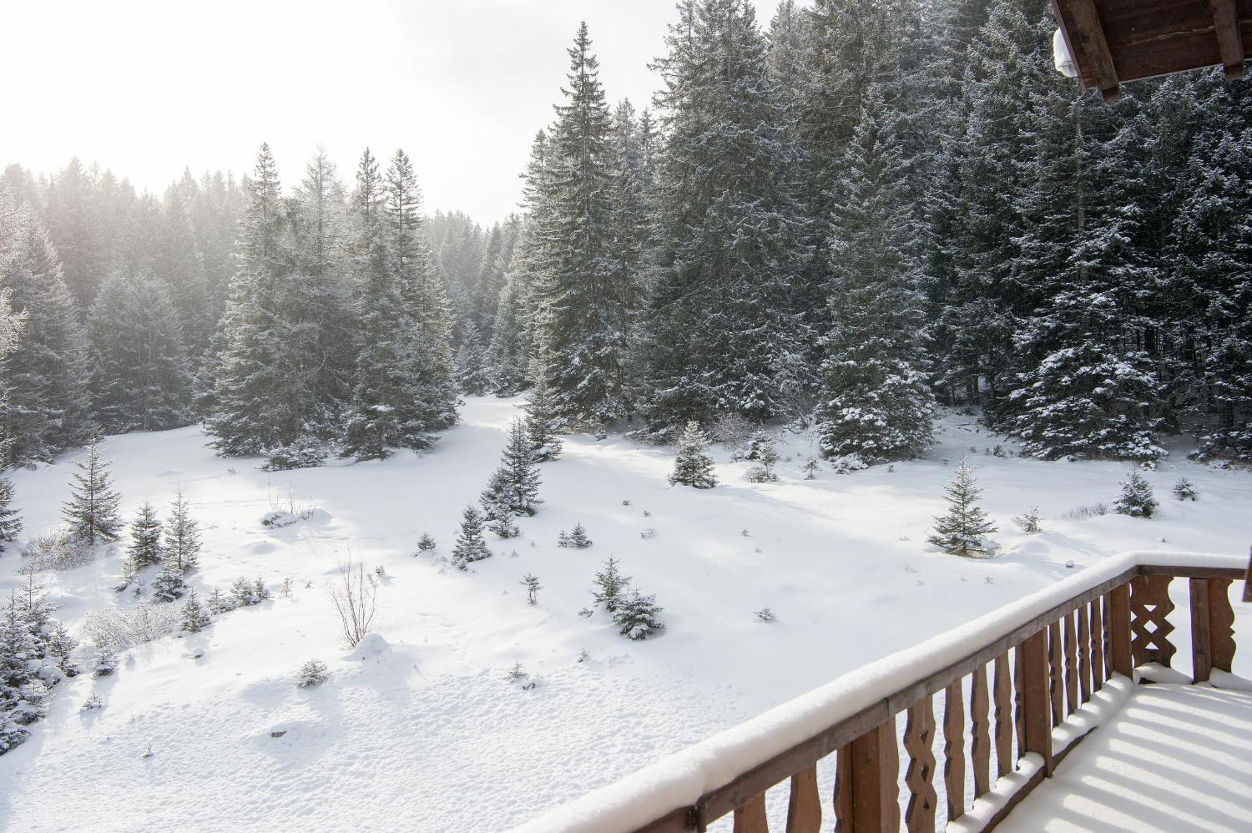 Ski-in Ski-out Chalet Crestas for 16 persons- Lenzerheide