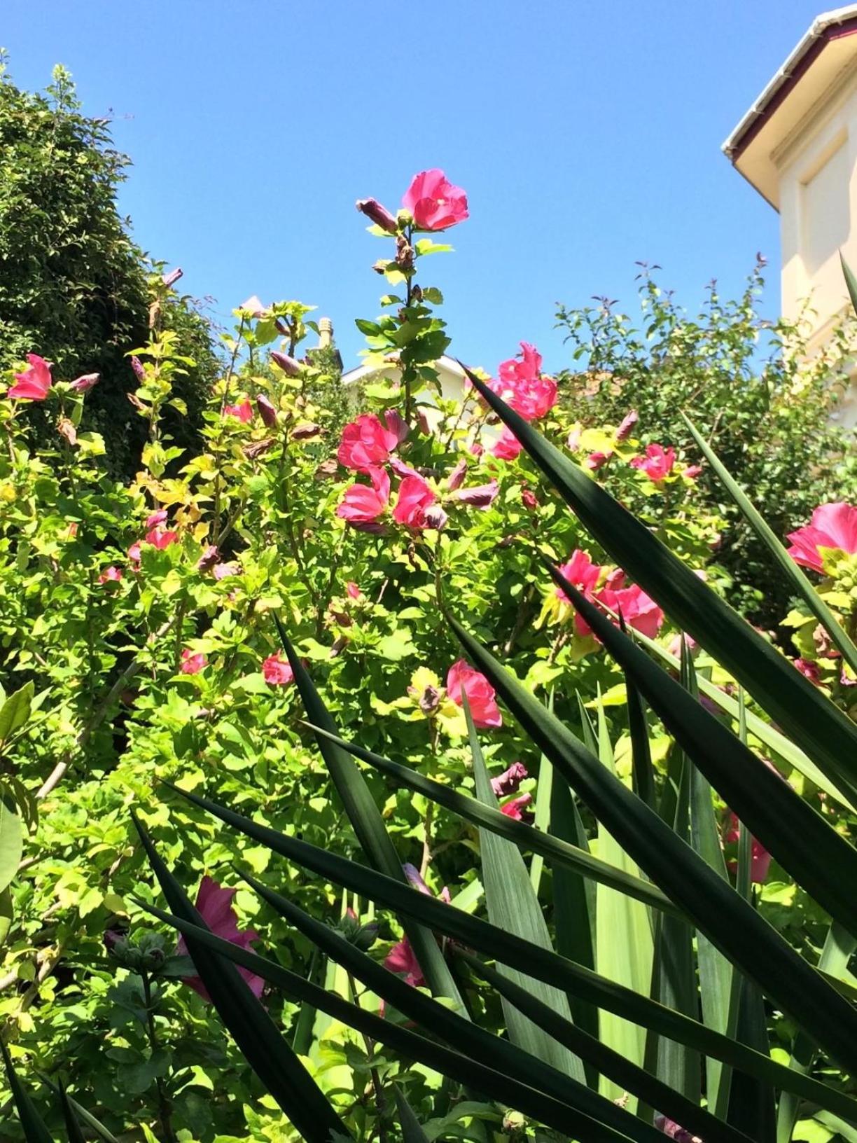 Photo 21