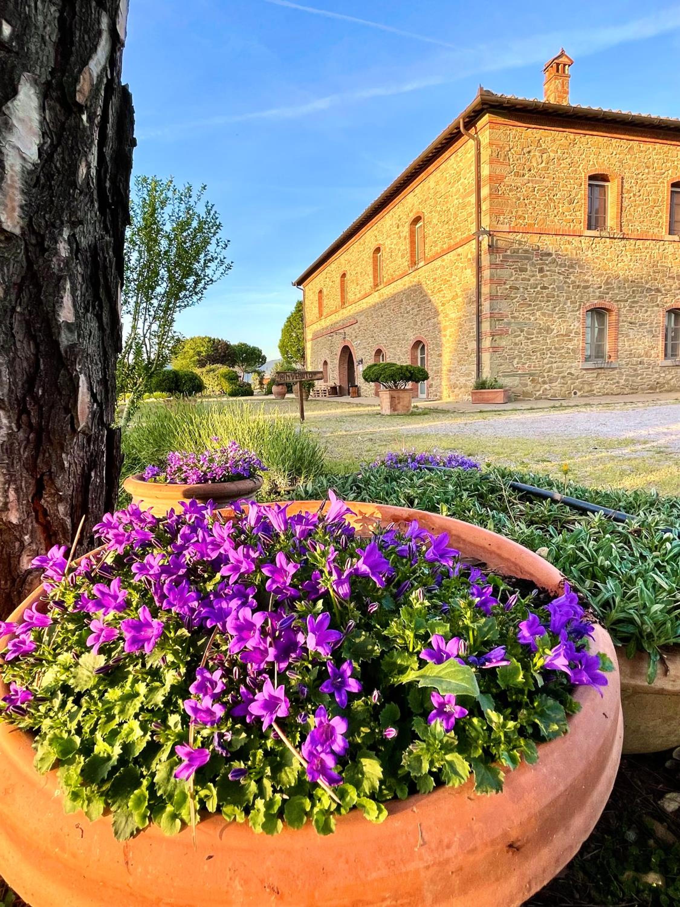 Agriturismo La Colmata