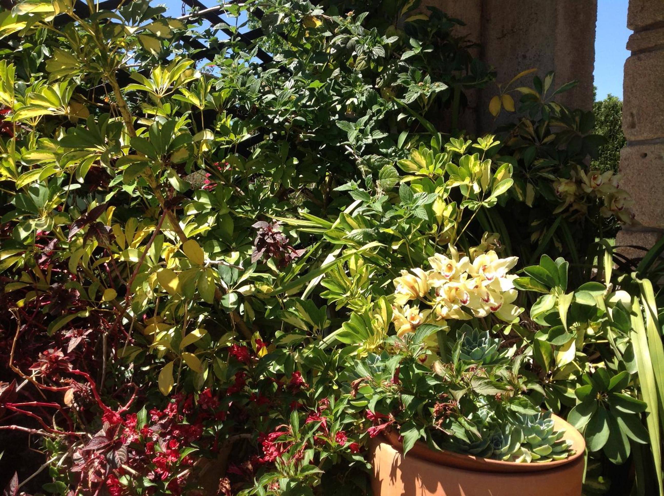Photo 99
