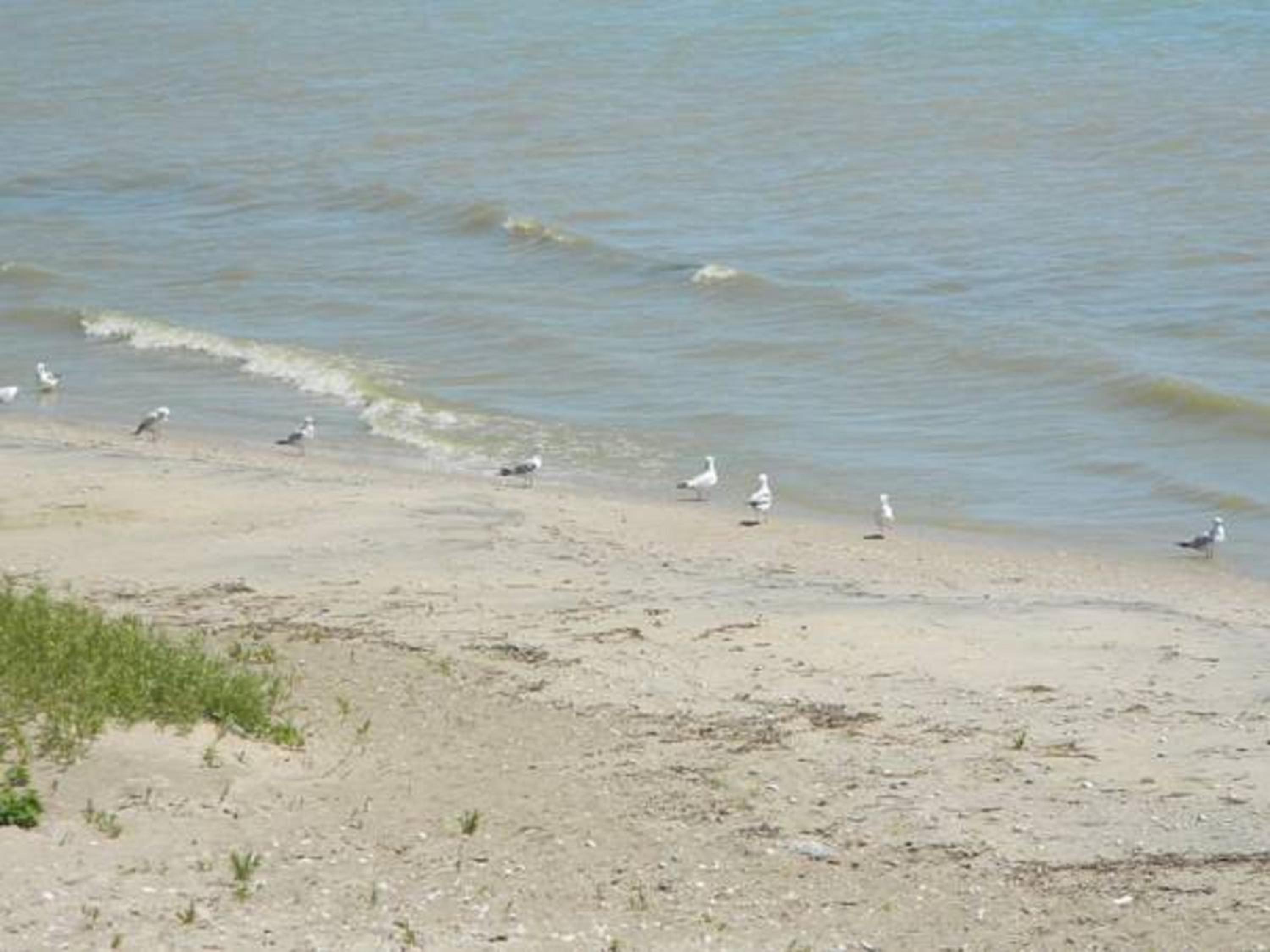 Algoma Beach Motel