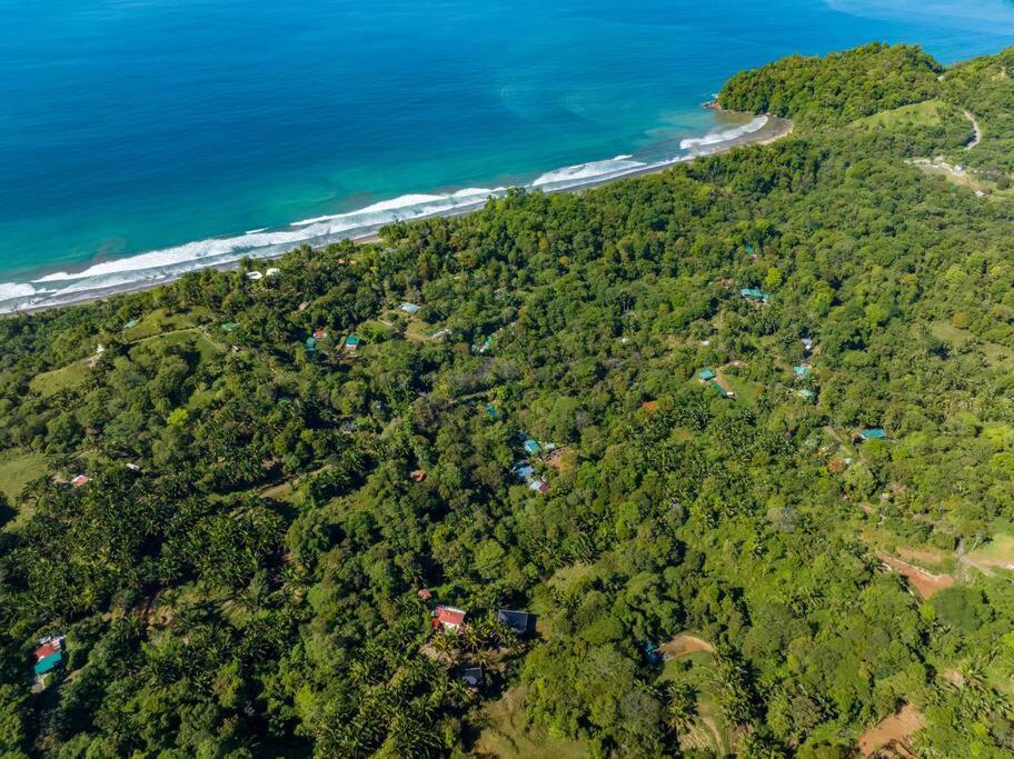Private Casita Jungle Treehouse Ocean View