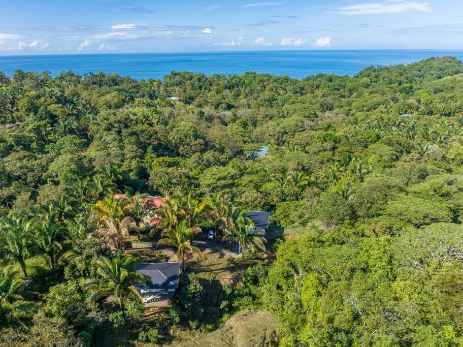 Private Casita Jungle Treehouse Ocean View
