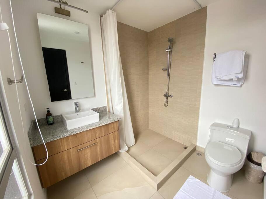 suite wonderful view in 11th fl view 4