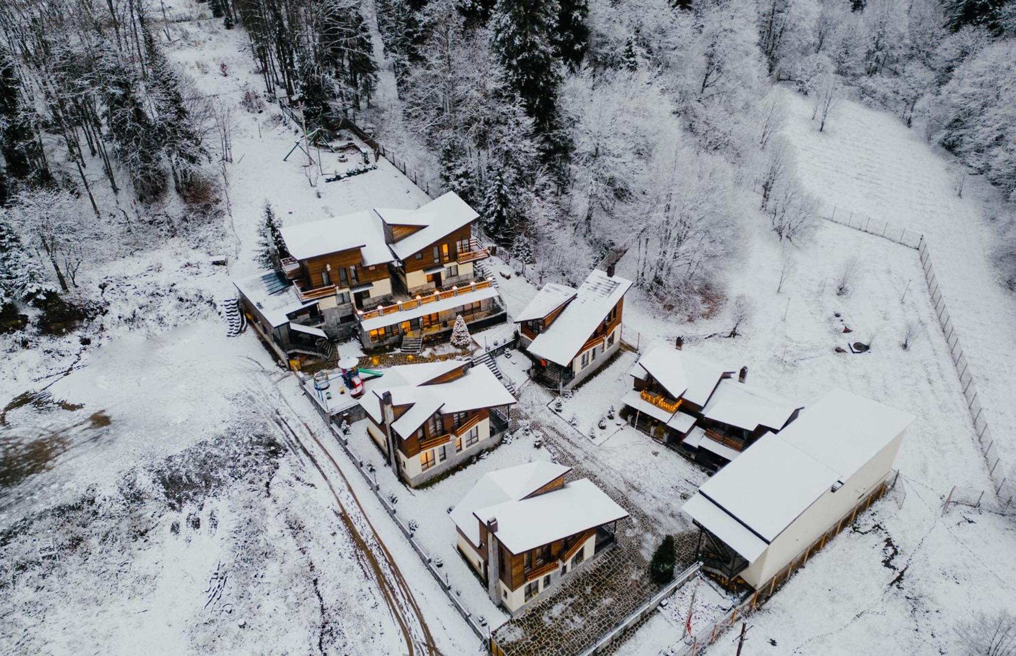7 Cottage in Bakuriani view 5