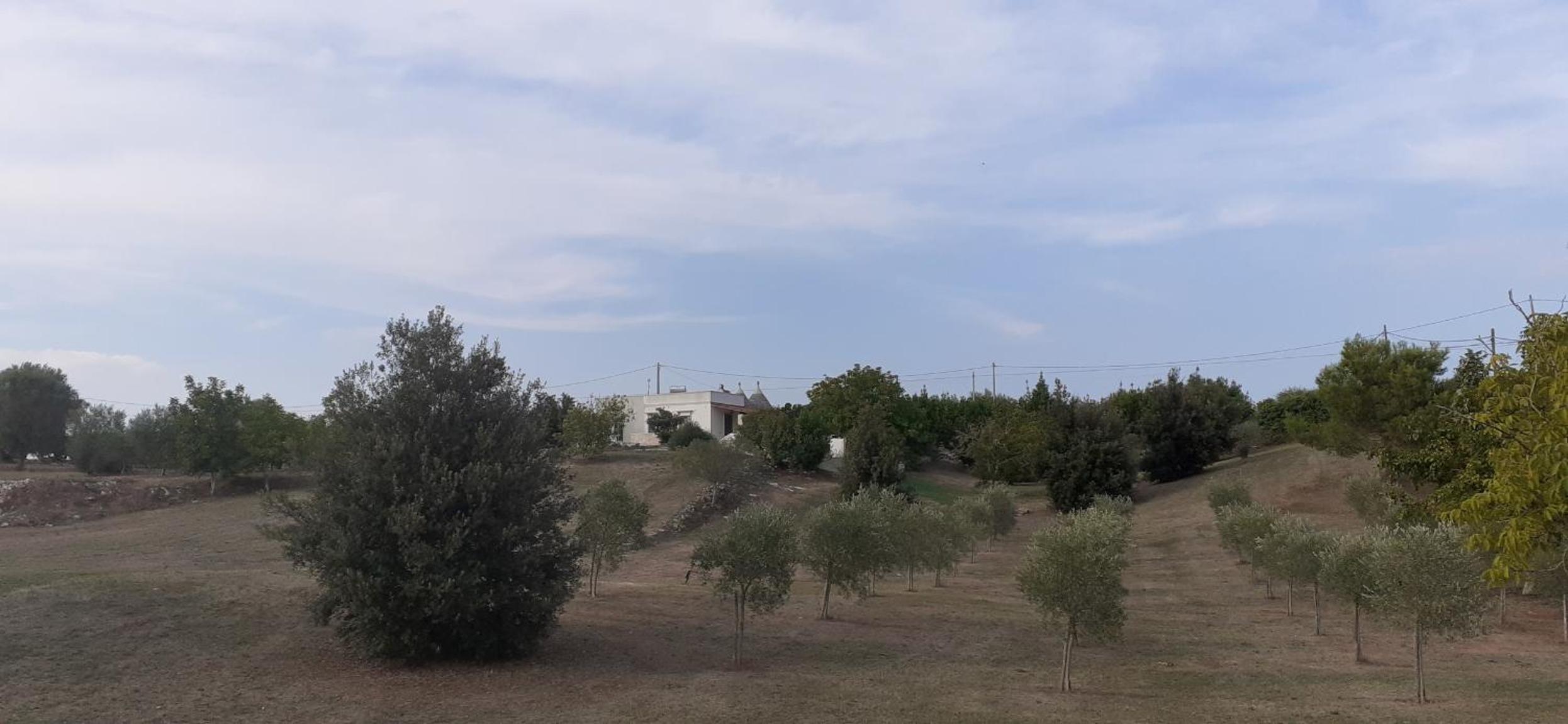 Trullo Genista