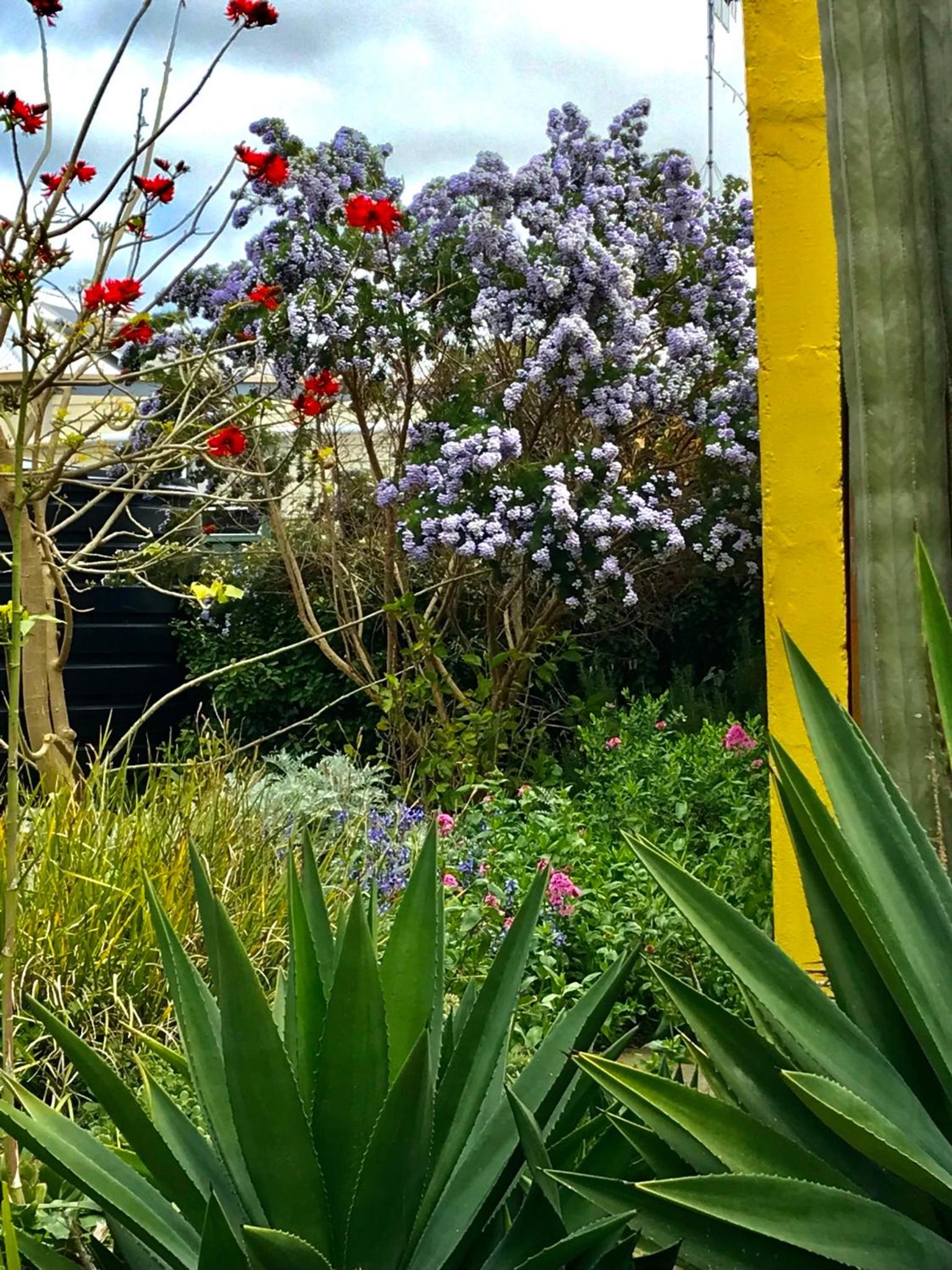 Sinclair Cottage