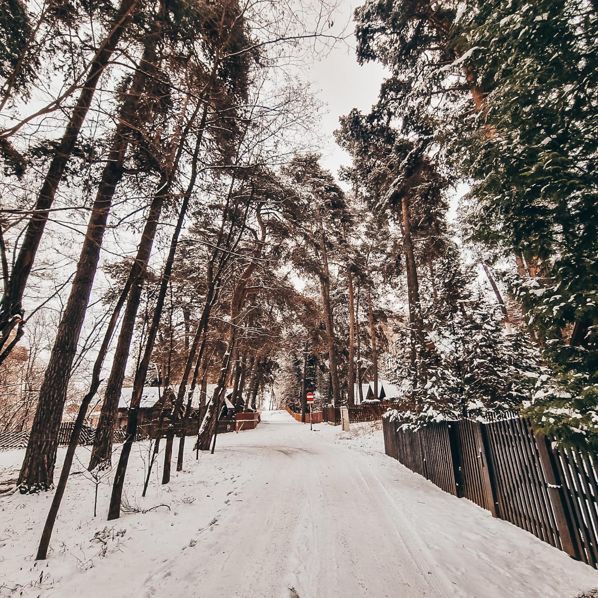 Tiny Wooden Cottage -Covasna view 3