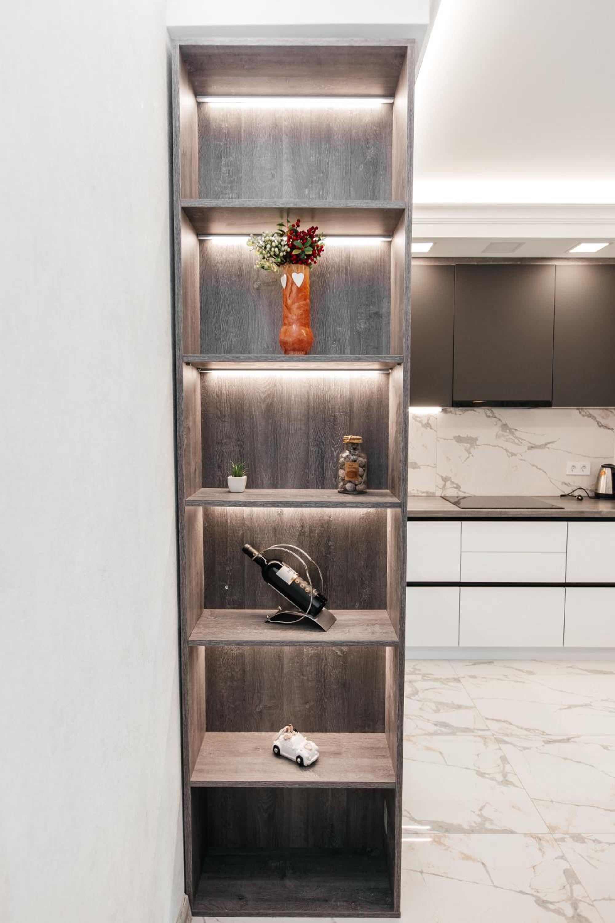 Luxury Apartment