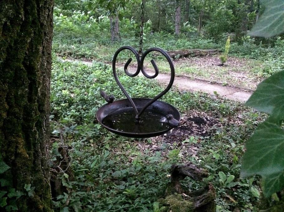 Cinke cottage, nest in nature view 4
