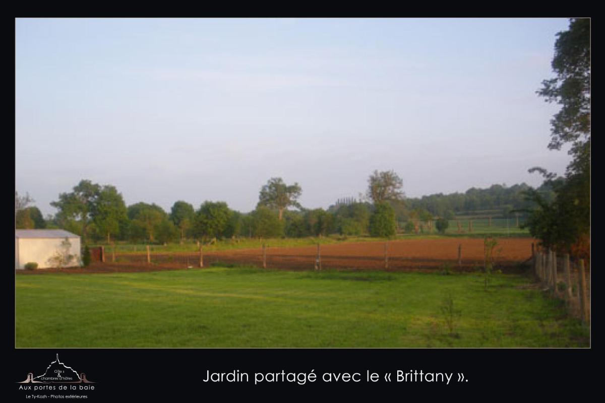 Photo 27