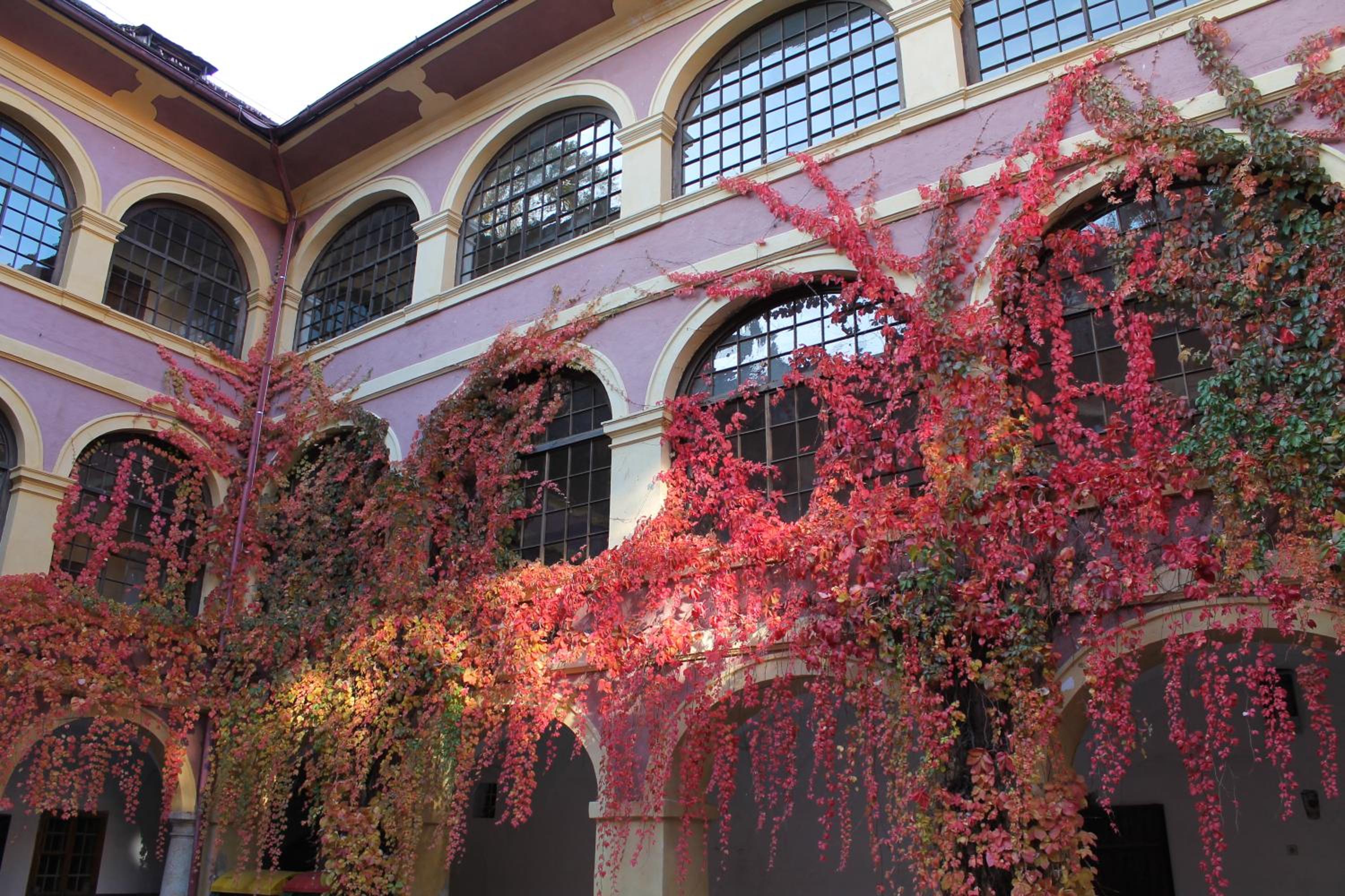 Schloss Frauenthal
