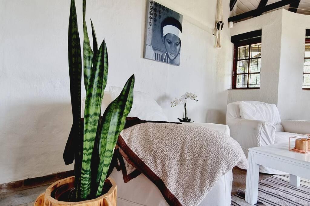 The Loft: Cosy 1 Bed Loft W/ Amazing View and Pool view 3