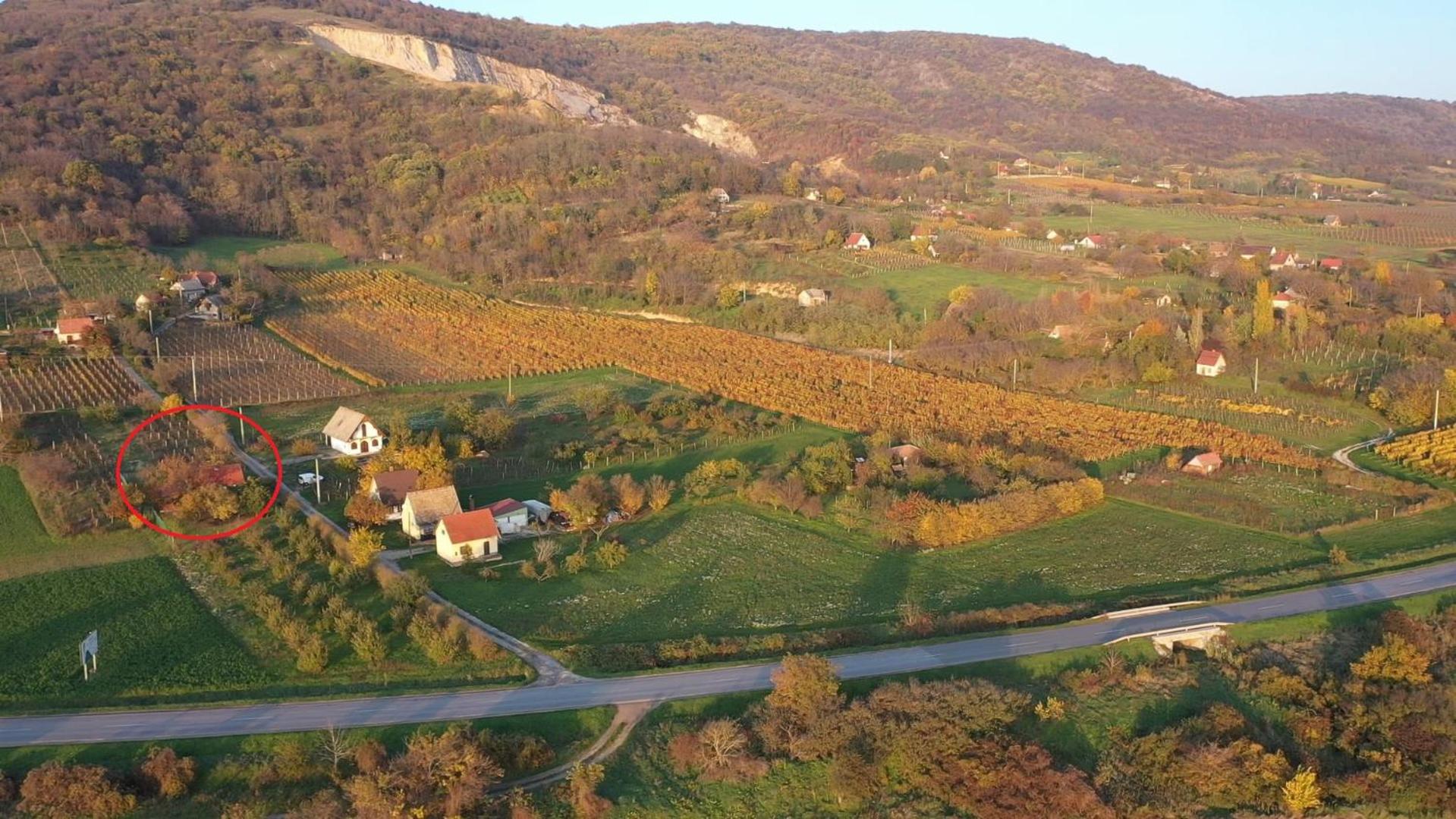 Tenkeshegyi Házikó