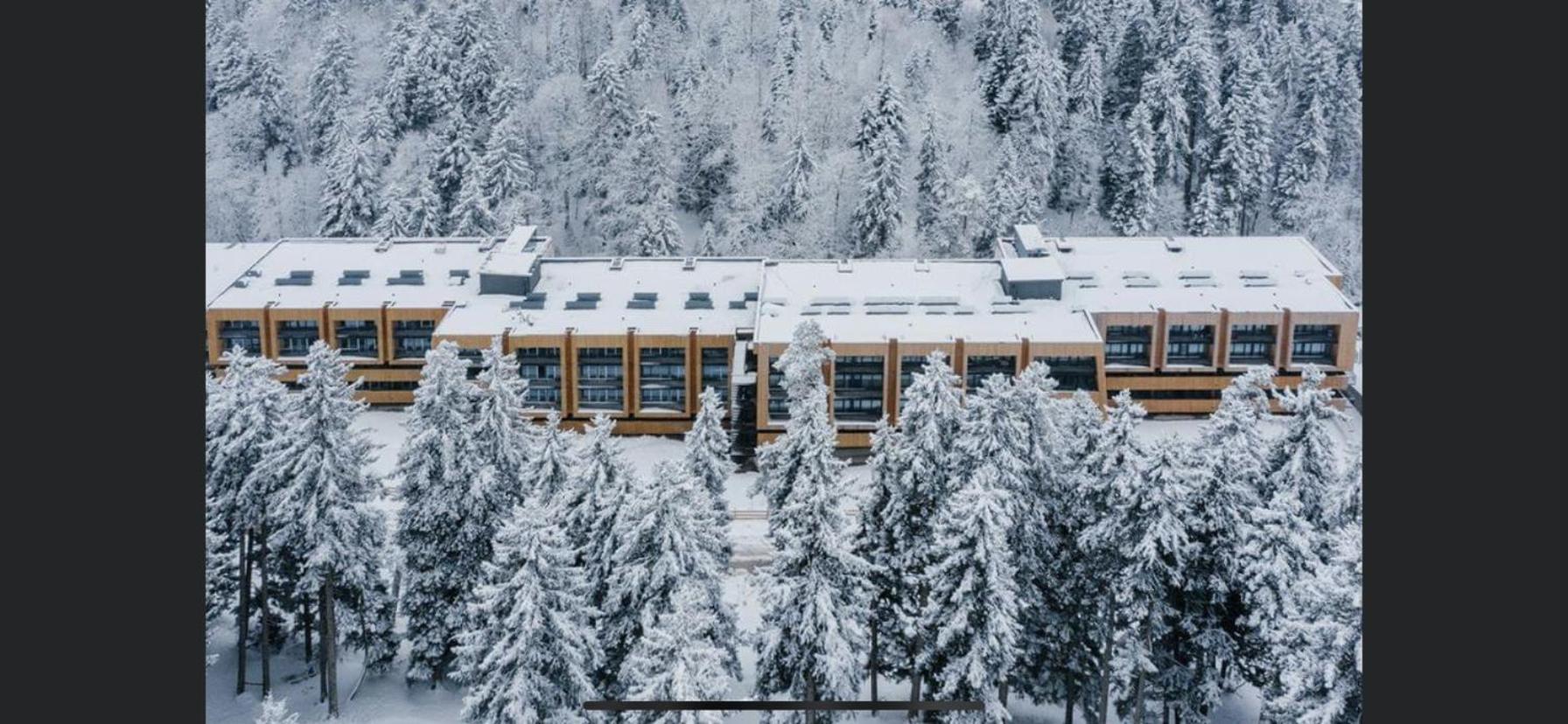 Bakuriani Kokhta Mitarbi Resort