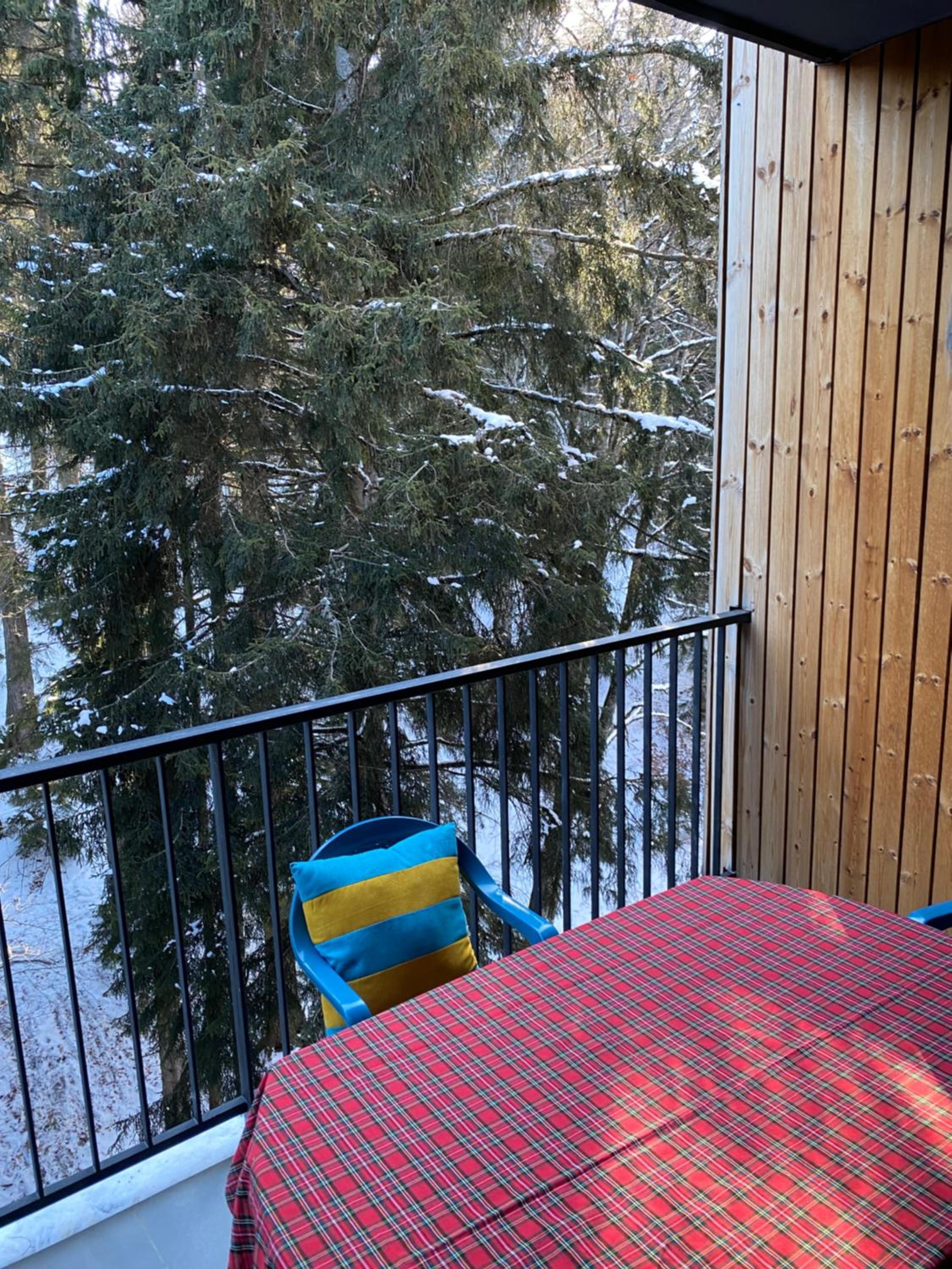 Bakuriani Kokhta Mitarbi Resort