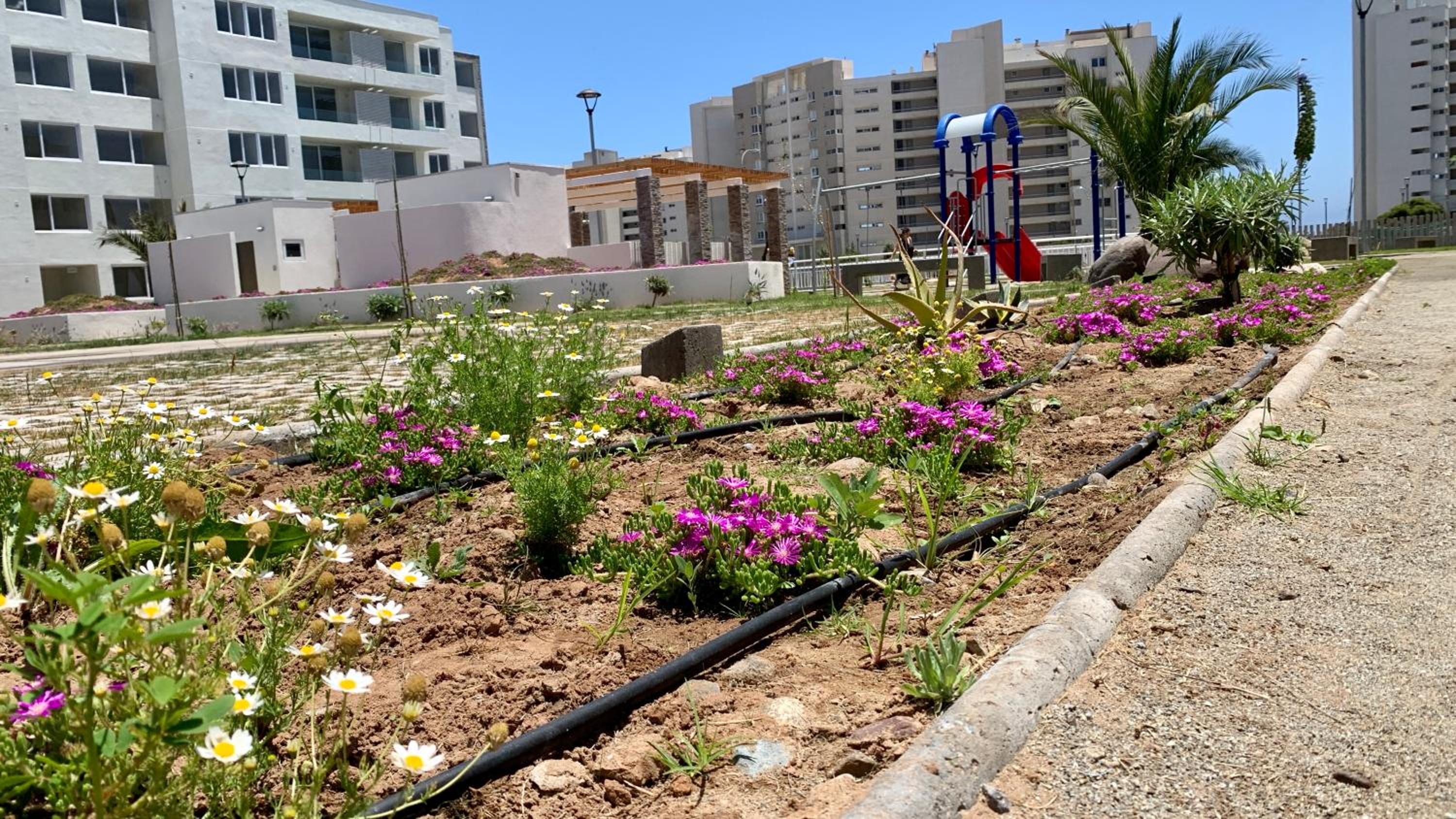 La Serena Departamento, FULL, Jardines del Pacifico III