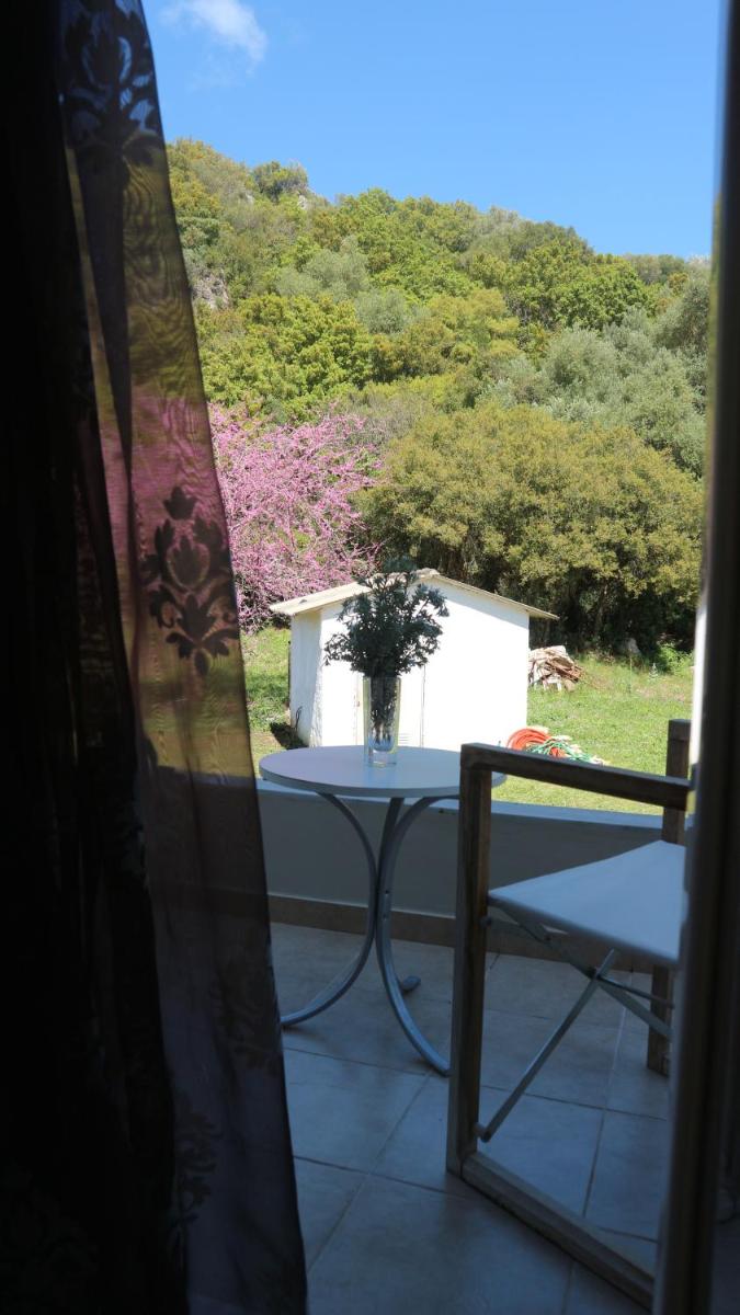 Photo 42