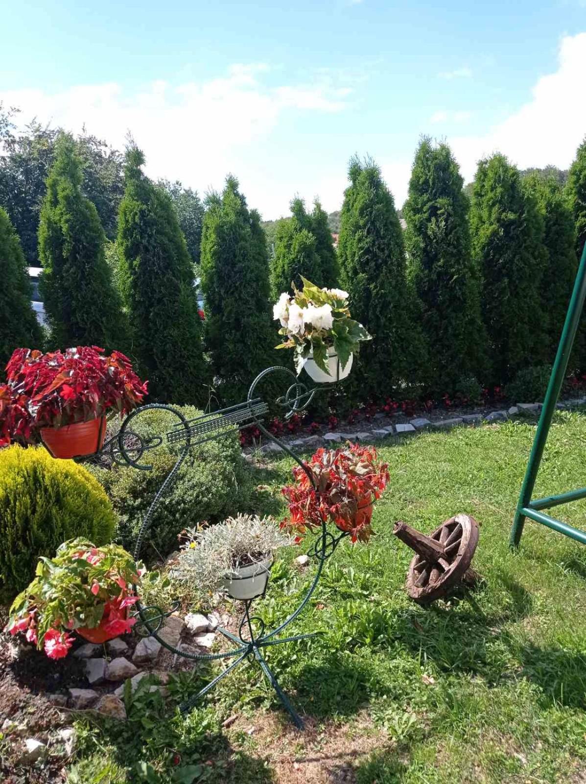 Njih tri Jelova gora view 3