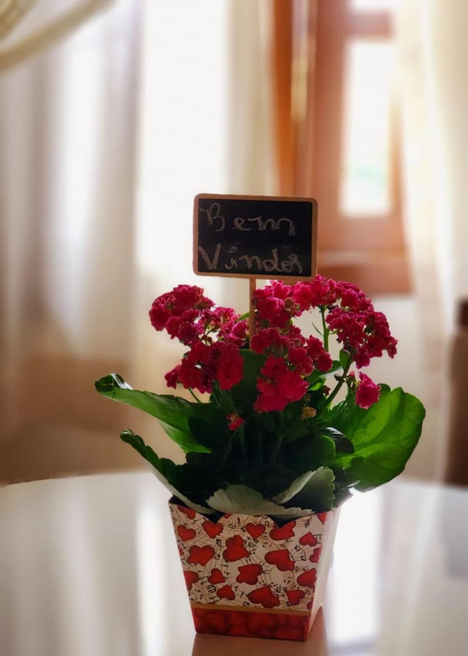 Photo 161