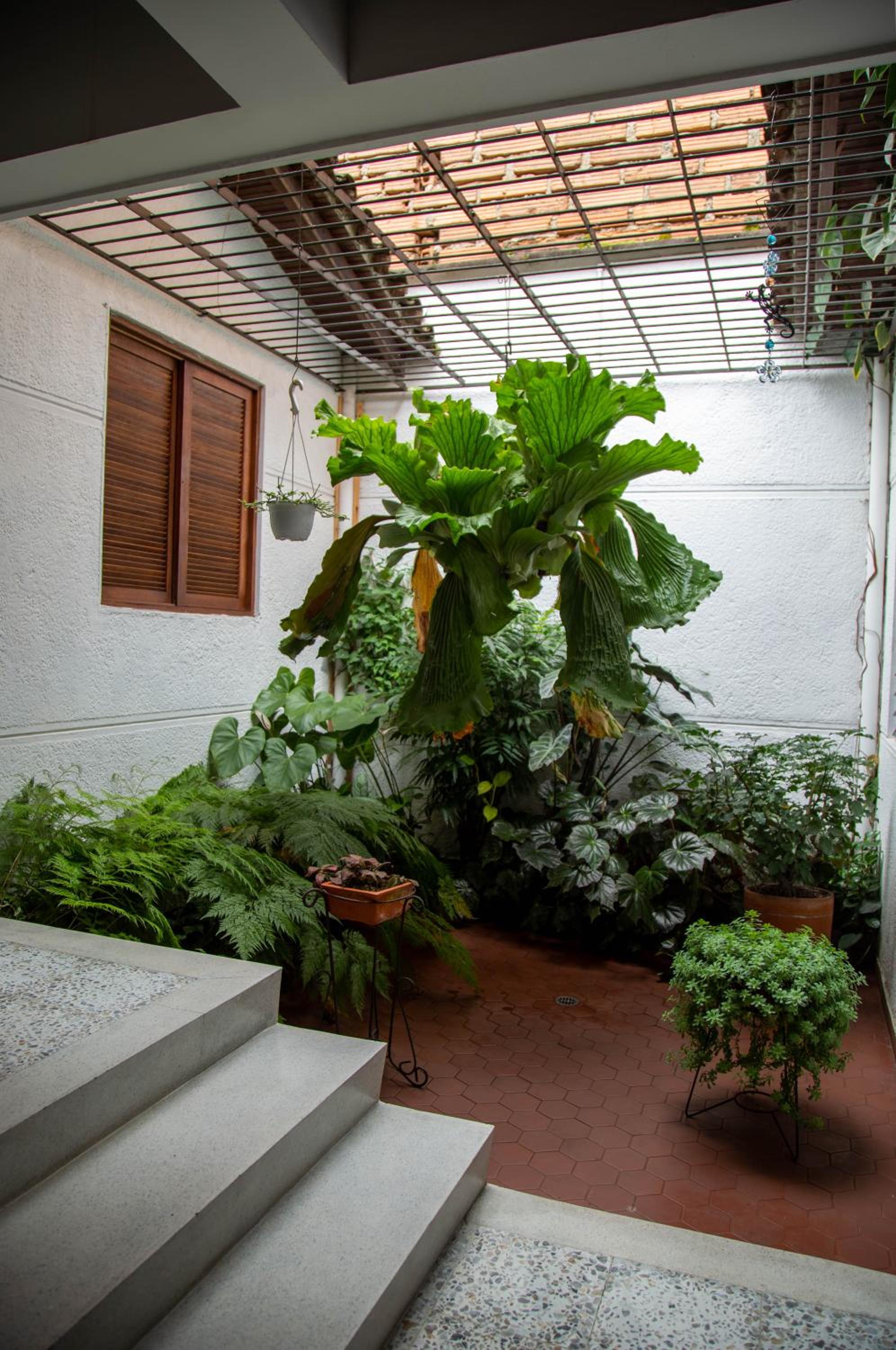 CASA DE LOLA