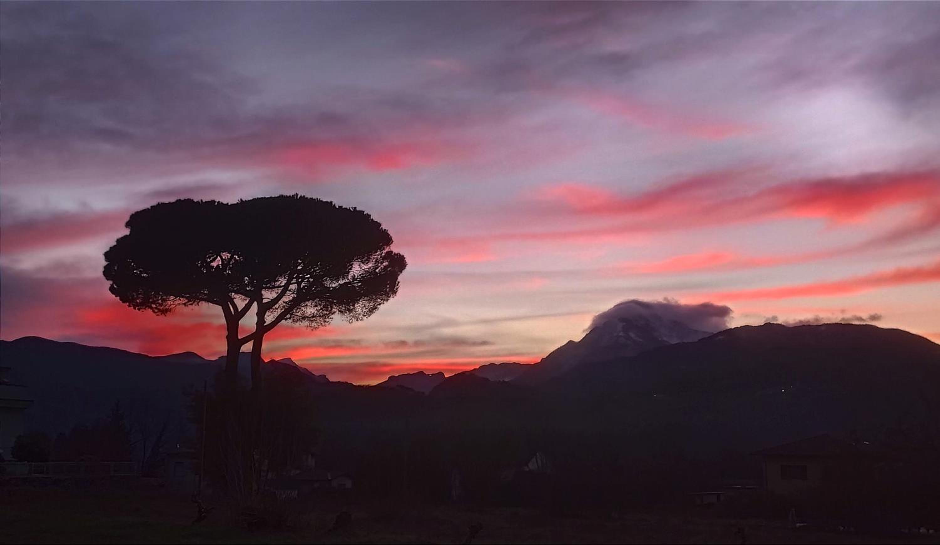 Affittacamere La Foresta di Sopra